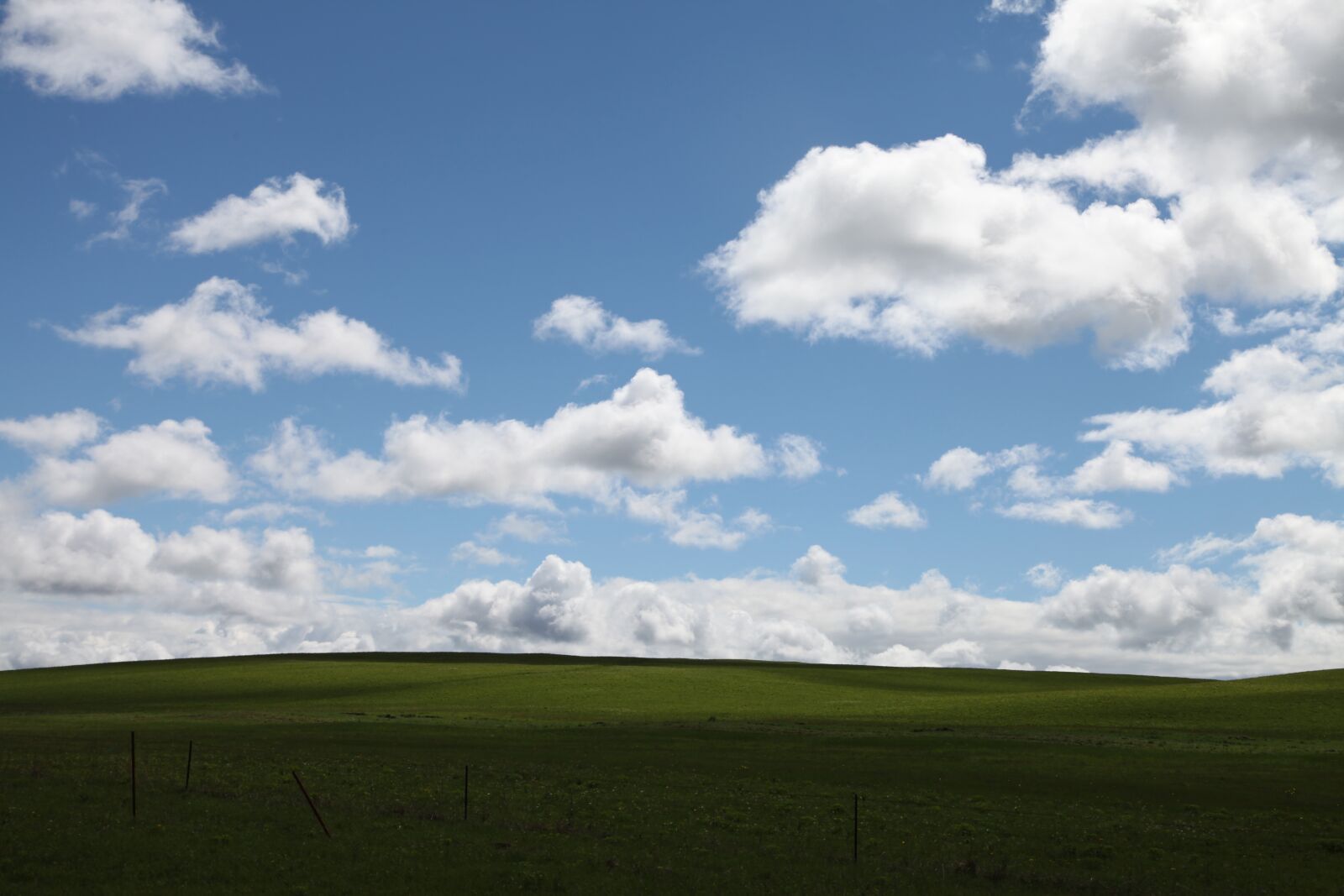 Canon EOS 5D Mark II sample photo. Landscape, meadow, field photography
