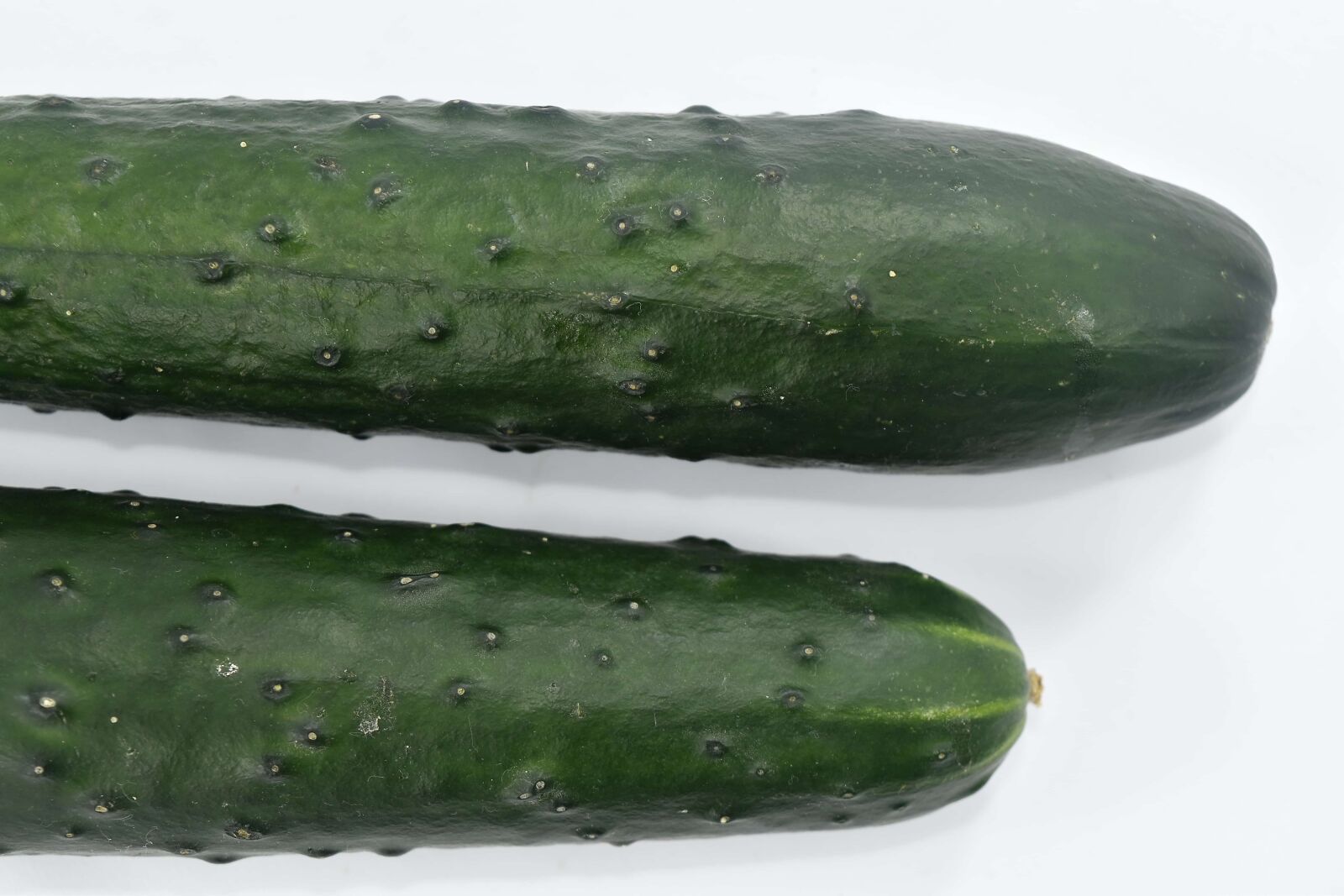 Nikon D5500 sample photo. Cucumber, culinary, green, organic photography