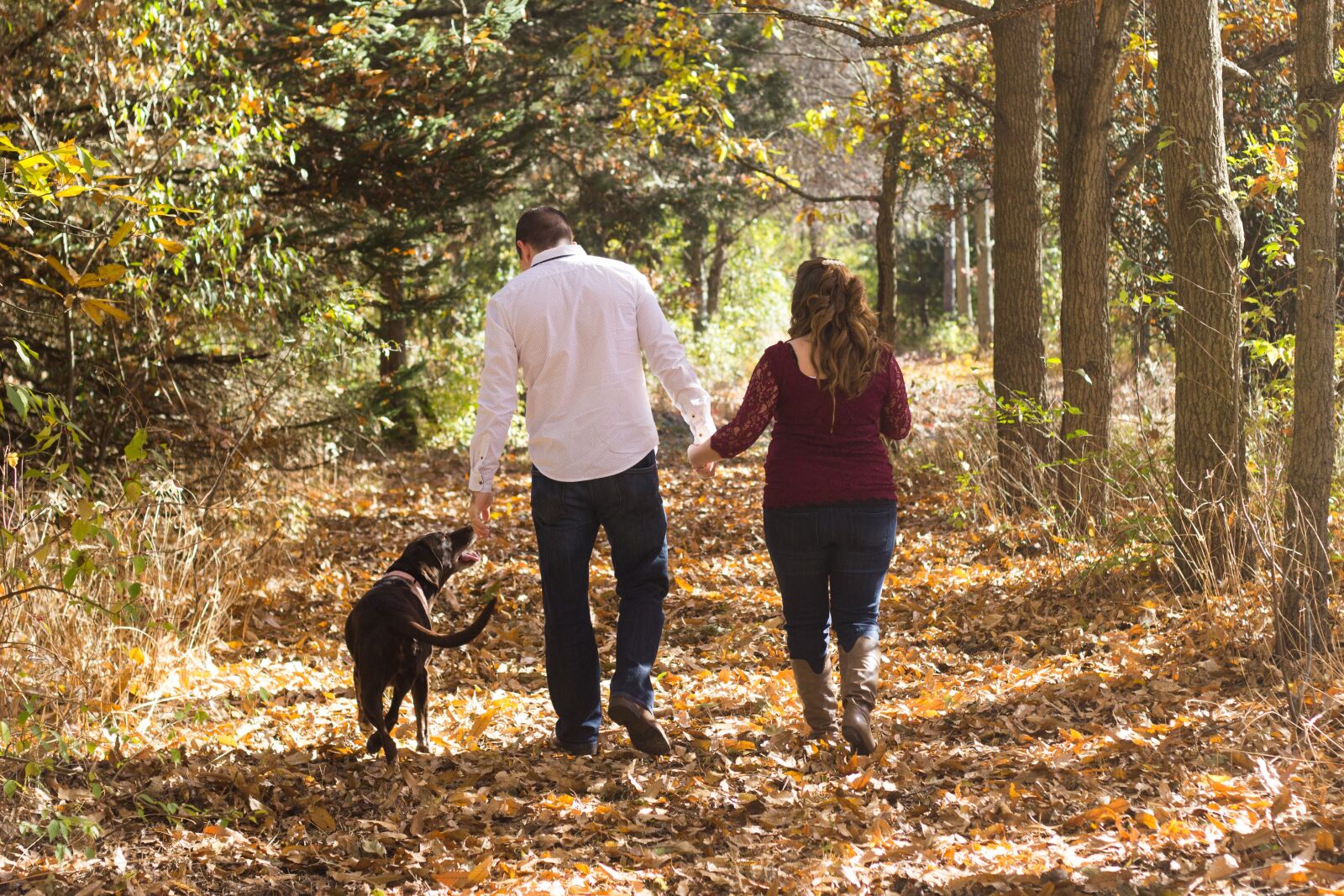 Canon EOS 600D (Rebel EOS T3i / EOS Kiss X5) + Canon EF 50mm F1.8 II sample photo. Family, walking, woods photography