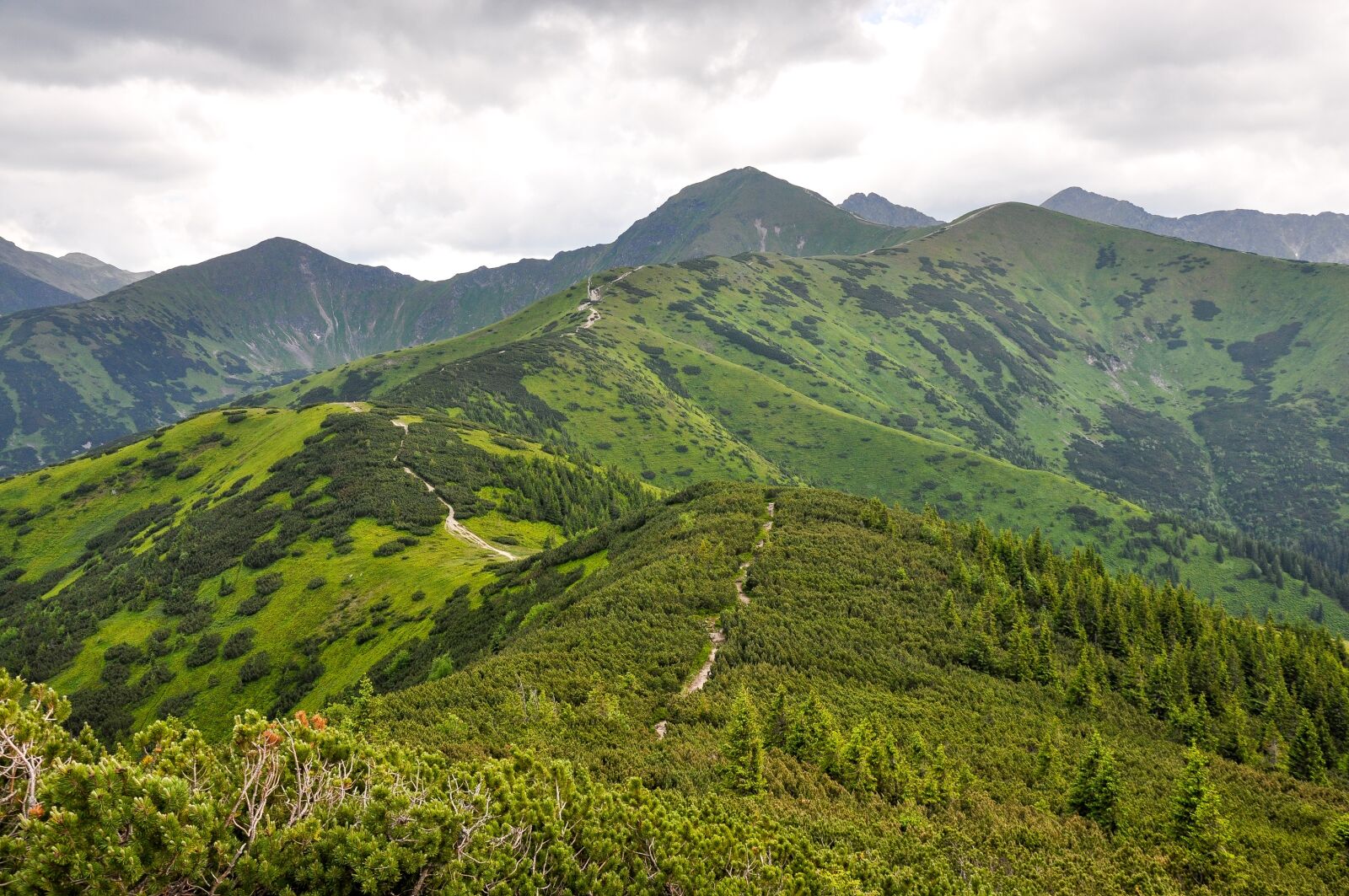 Nikon D90 sample photo. Tatry, mountains, landscape photography