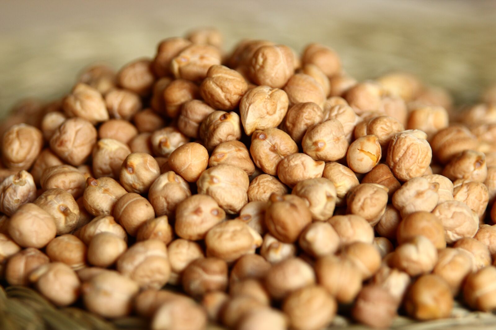 Canon EOS 600D (Rebel EOS T3i / EOS Kiss X5) sample photo. Chickpeas, ceci, food photography