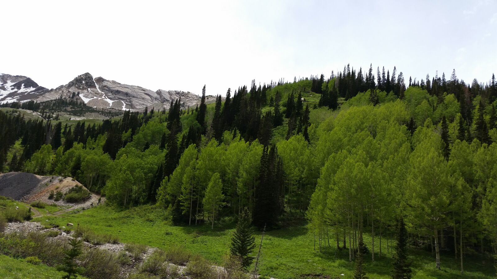 Samsung Galaxy S5 sample photo. Mountain, trees, tailing photography