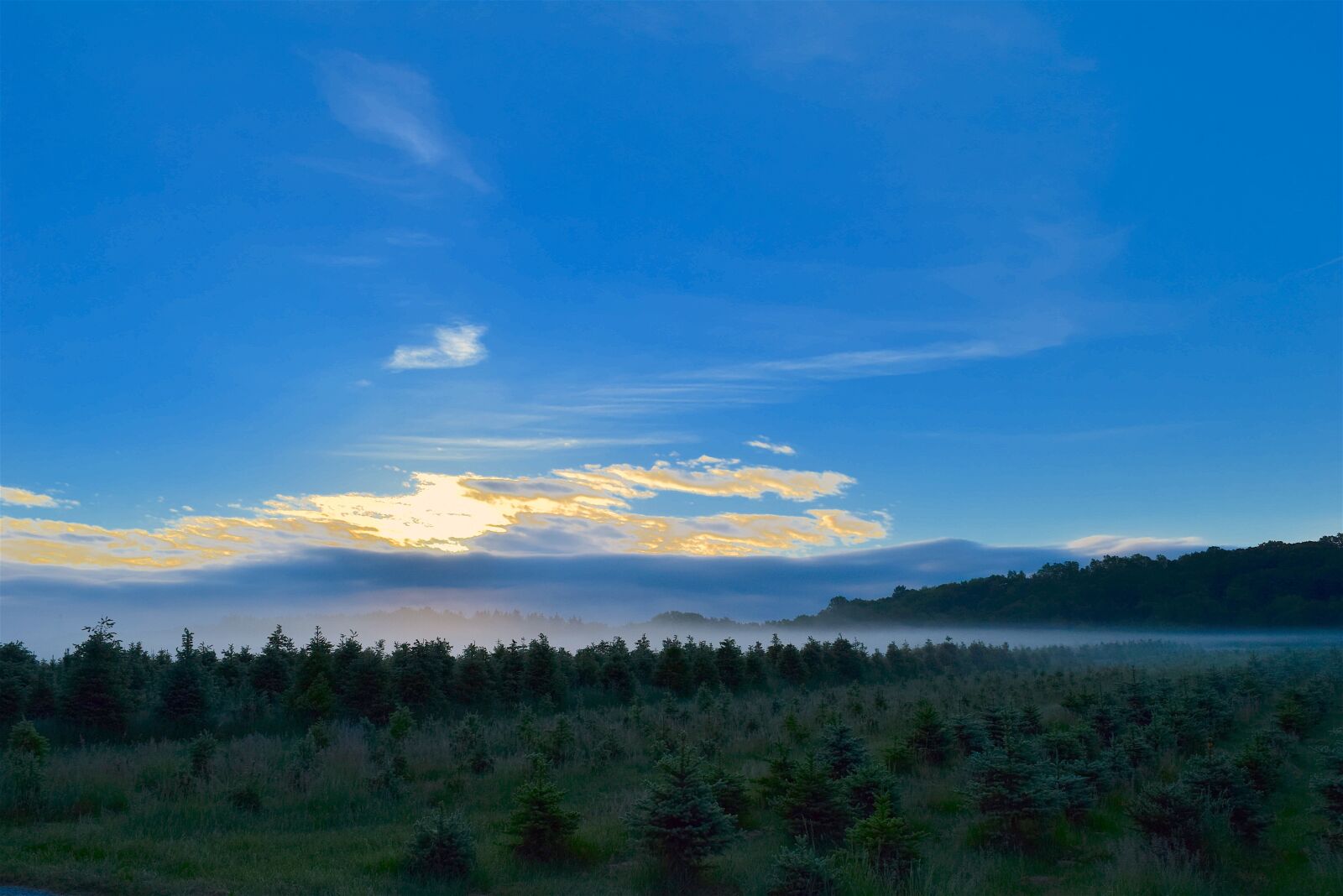 Nikon D3300 sample photo. Sunrise, field, mist photography