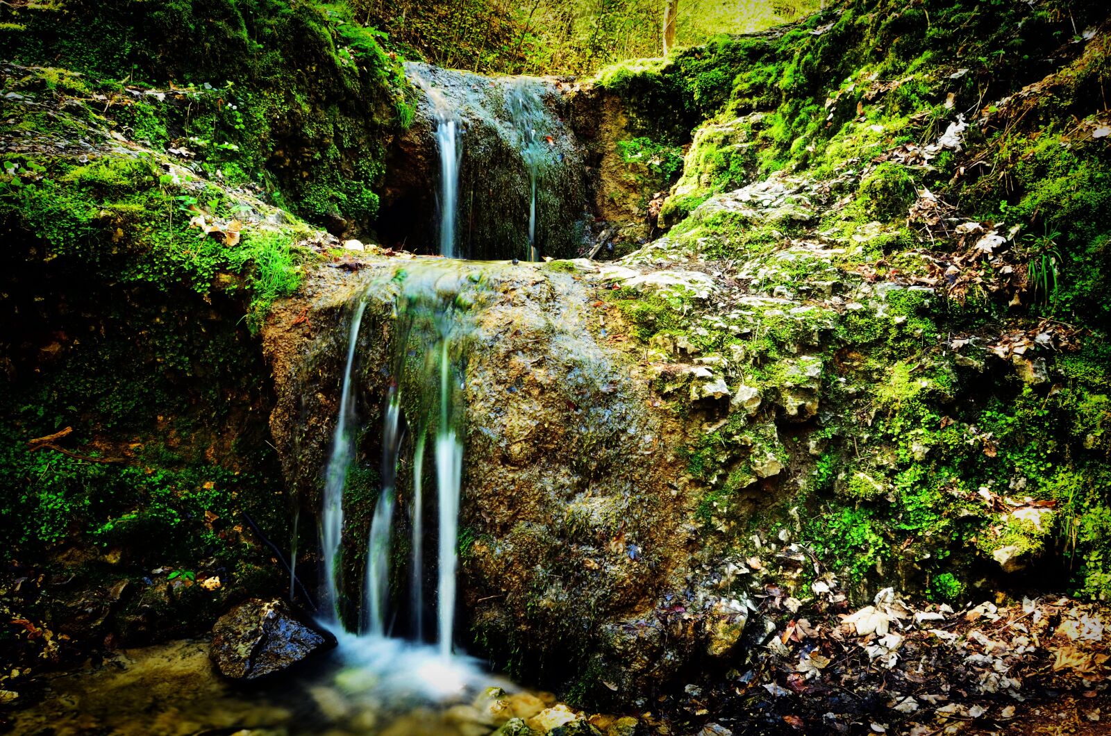 Nikon D5100 sample photo. Poland, valley bolechowicka, nature photography