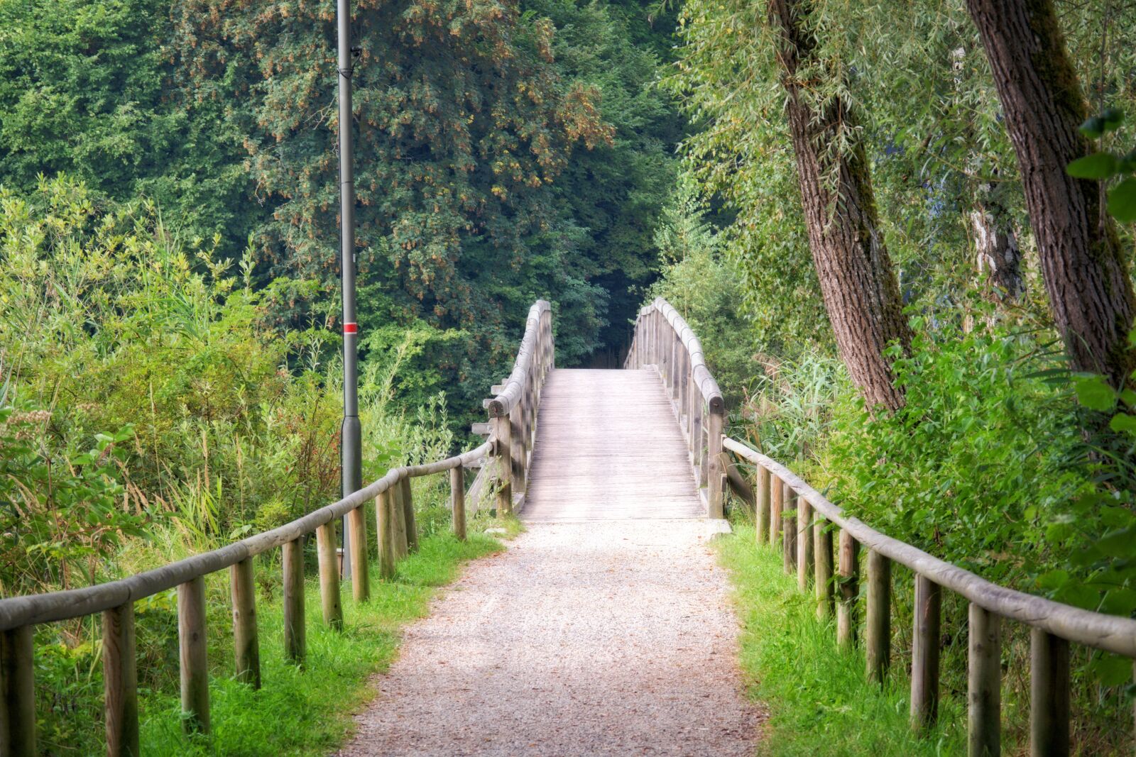 55.0-200.0mm f/4.0-f/5.6 sample photo. Wooden bridge, bridge, transition photography