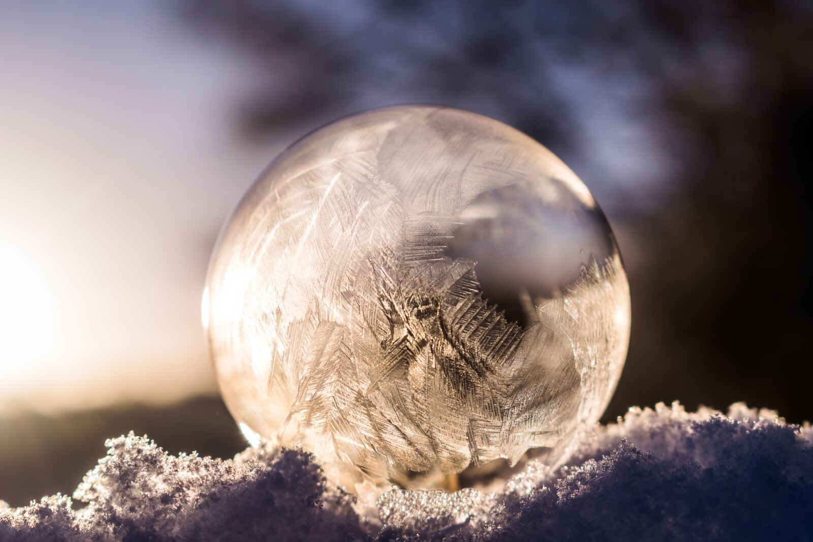 Nikon D5300 sample photo. Soap bubble, frozen, frozen photography