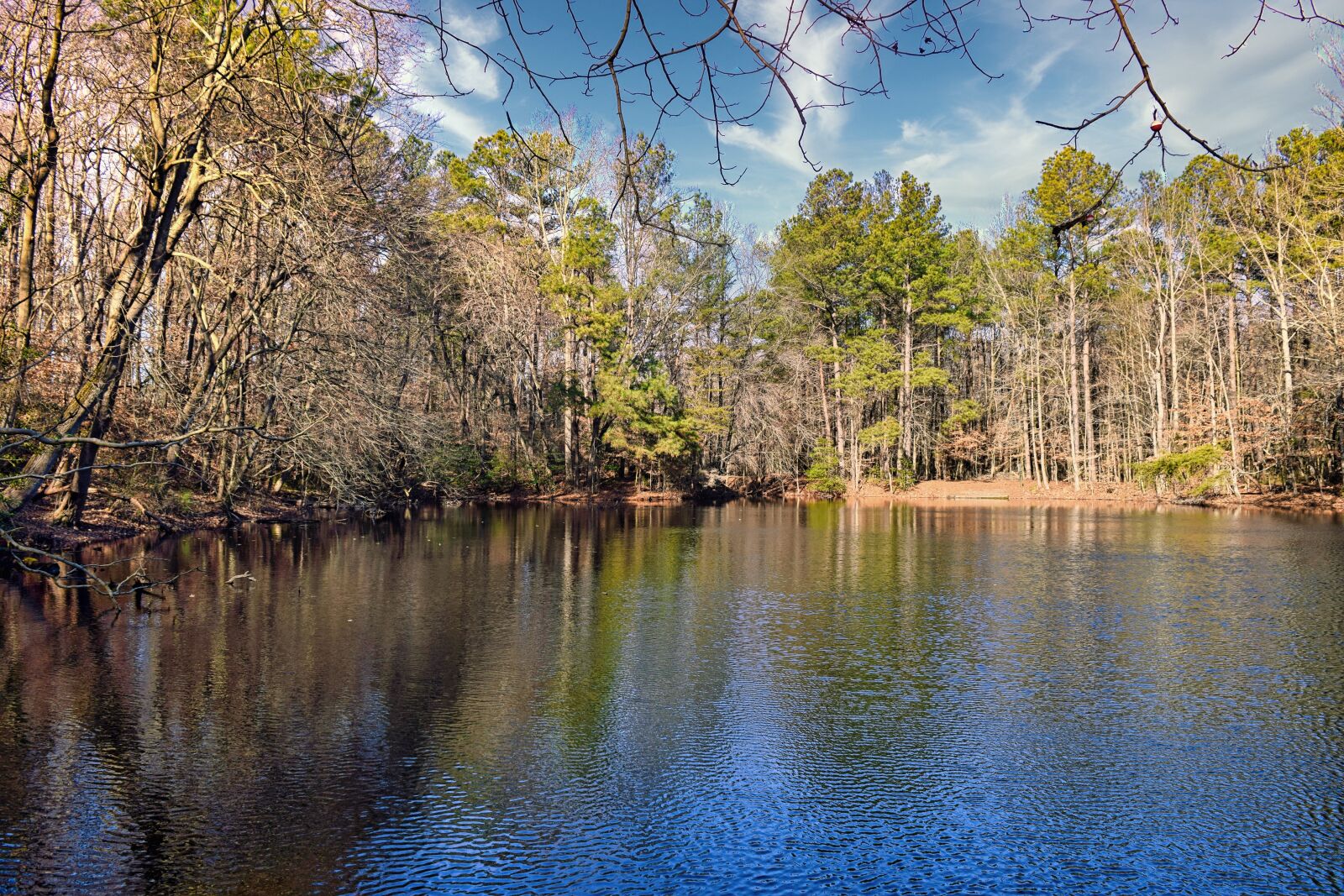 Nikon D3300 sample photo. Pond, forest, park photography