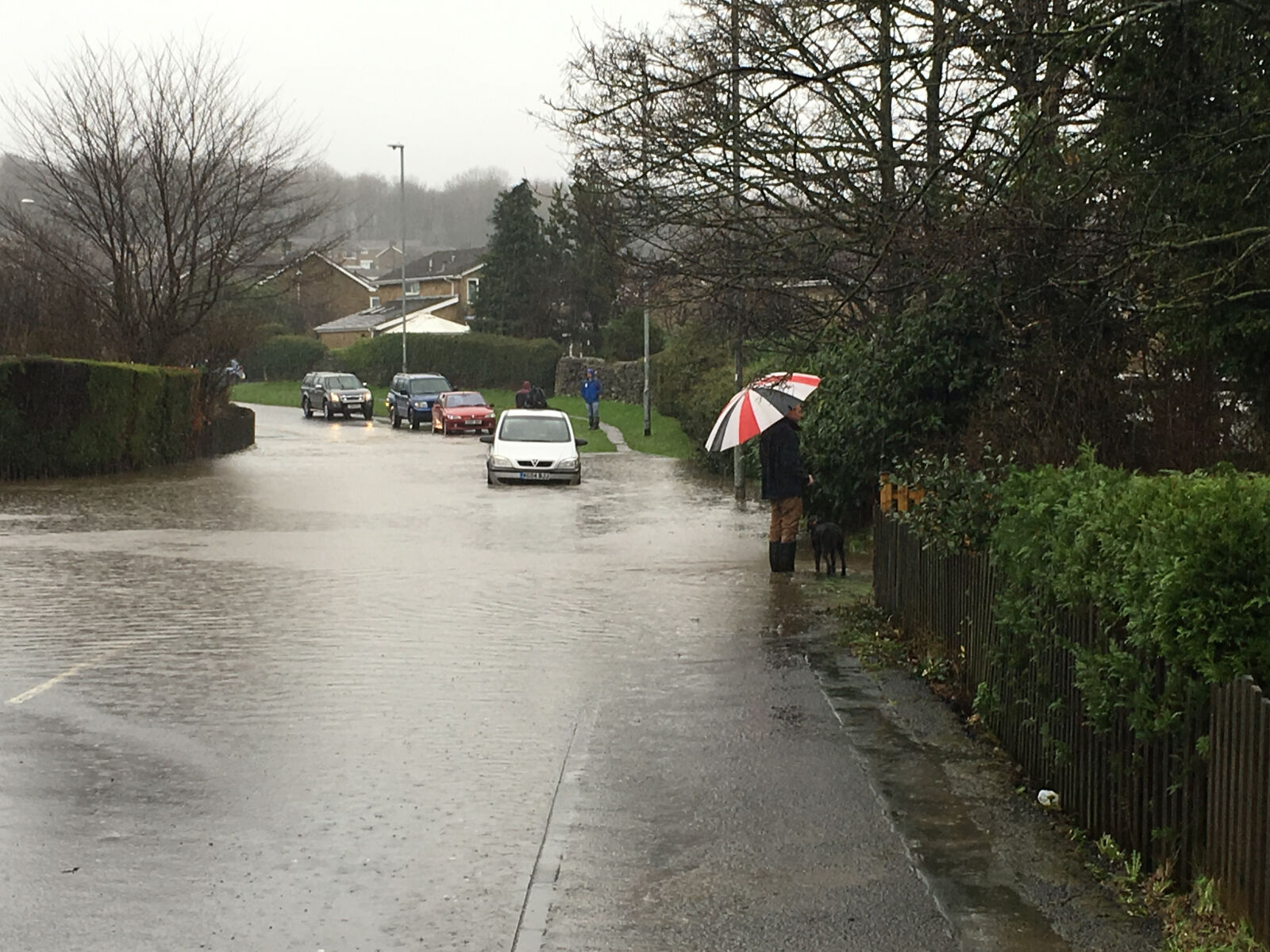 Apple iPhone 6s sample photo. Car, downpour, flood, flooding photography