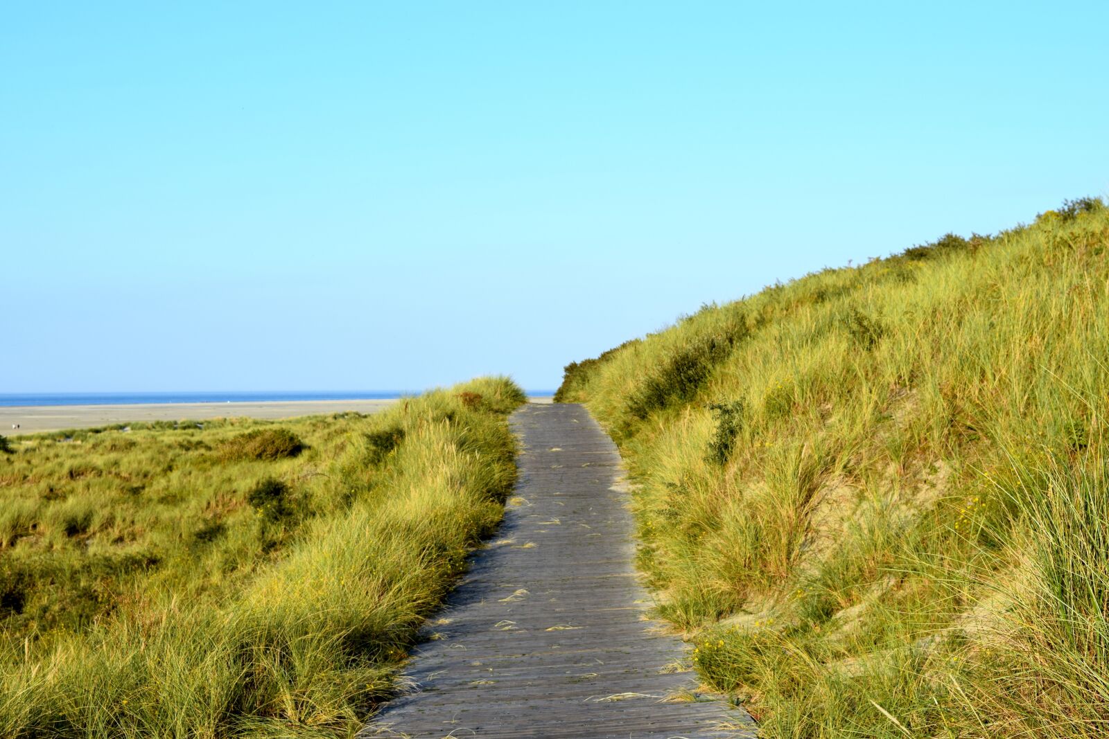 Nikon D3300 sample photo. Borkum, cycle path, trail photography