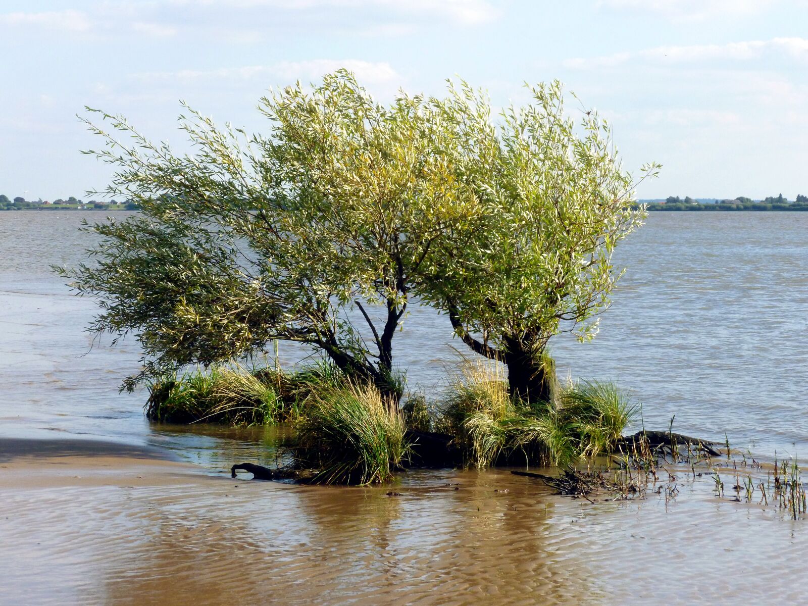 Panasonic DMC-FS37 sample photo. Elbe beach, elbe, bank photography