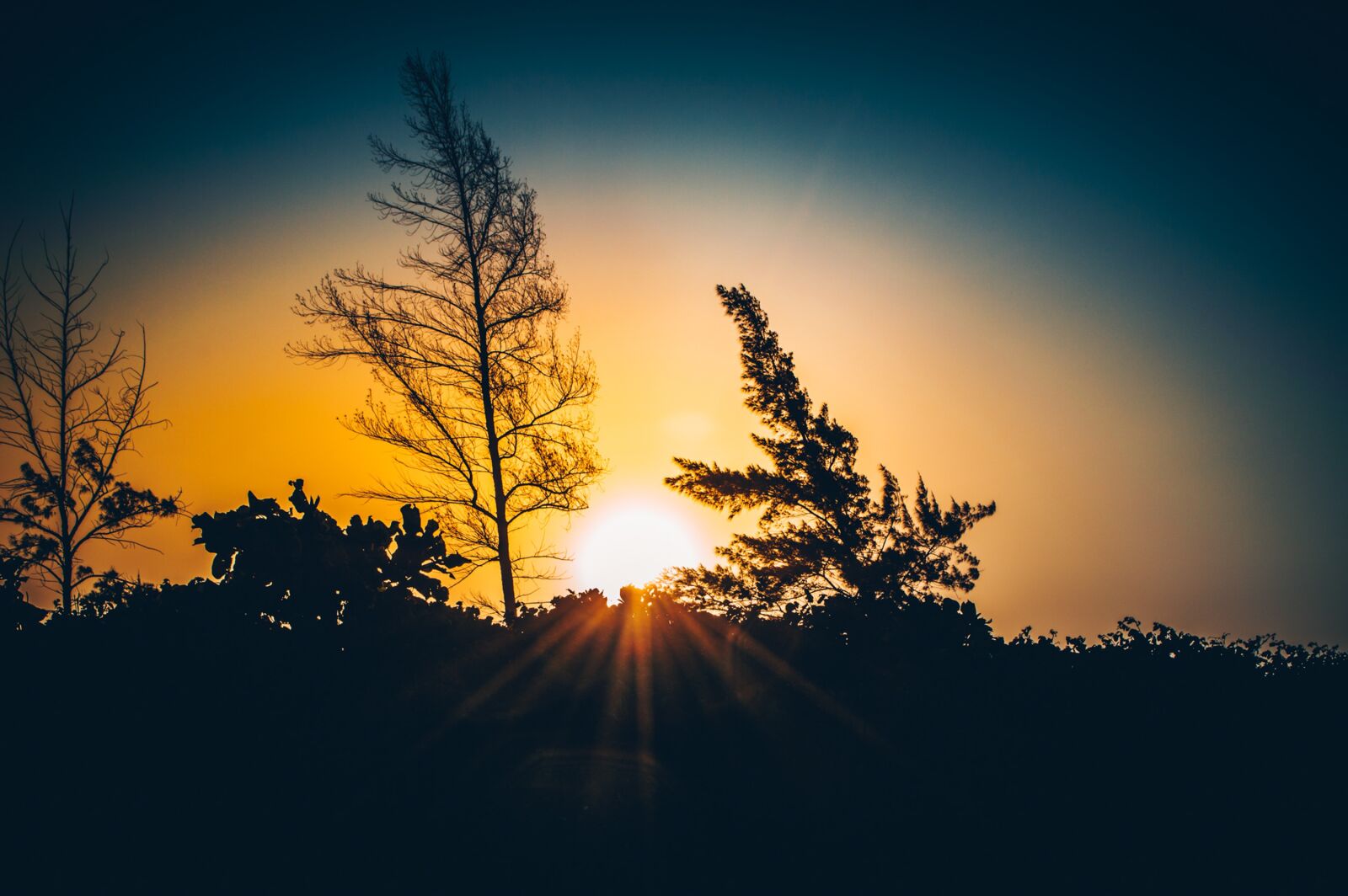 Nikon D3200 sample photo. Sol, twilight, landscape photography