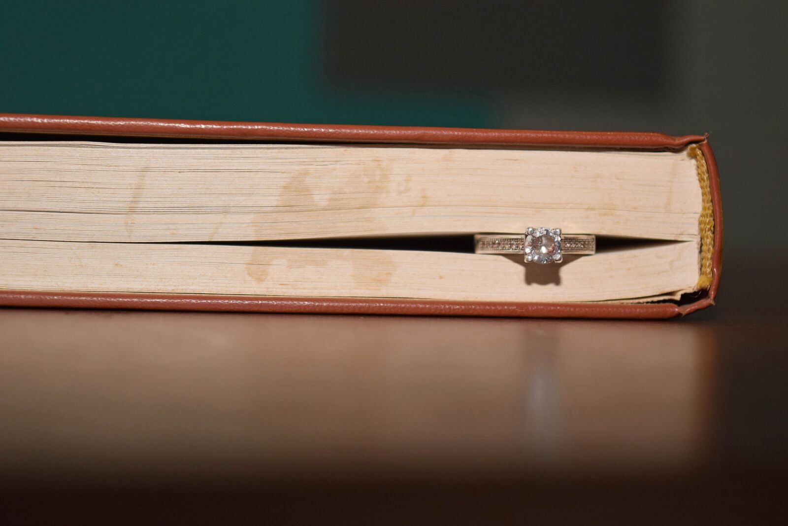 Nikon D3300 sample photo. Ring, book, wedding photography
