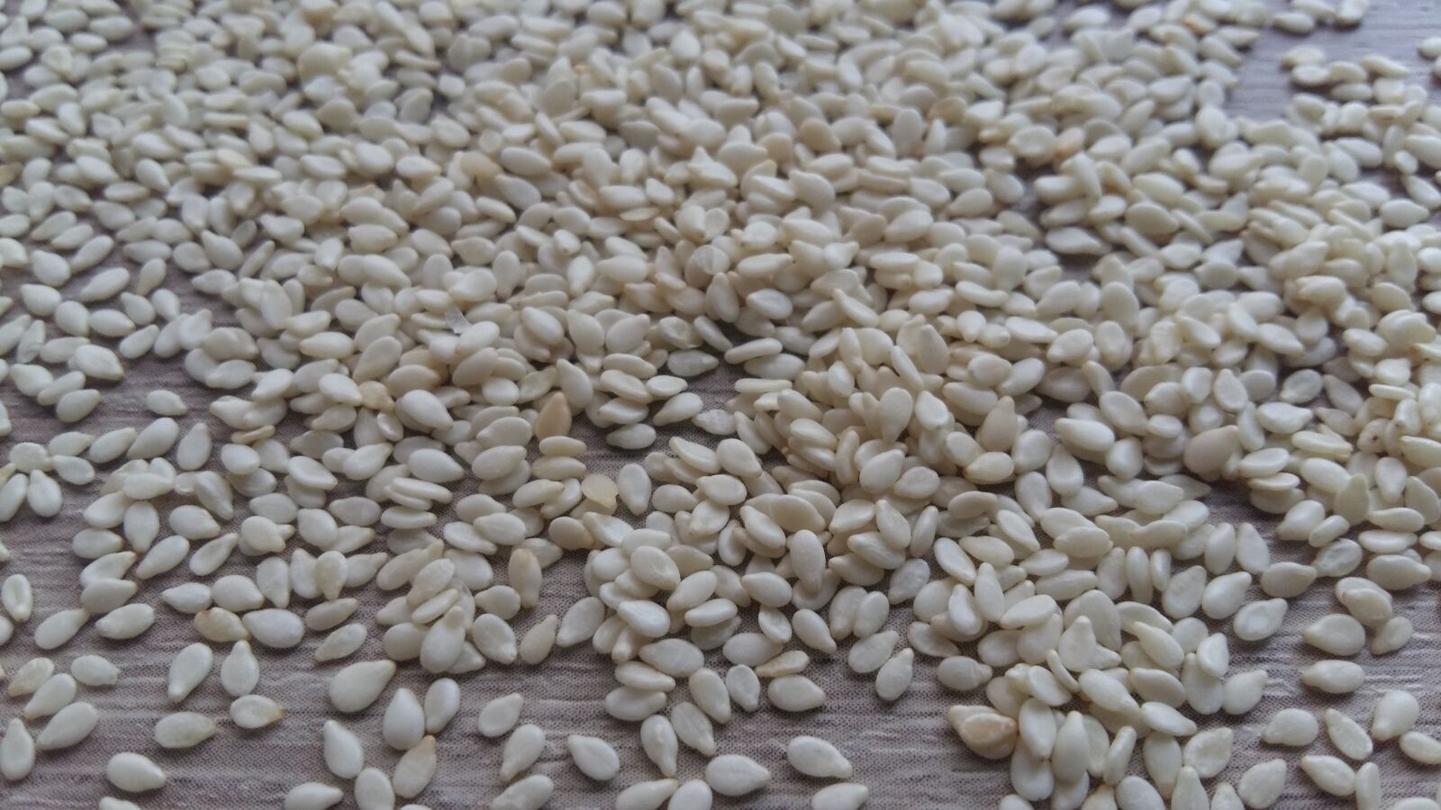 Samsung Galaxy A5 sample photo. Sesame, seeds, recipe photography