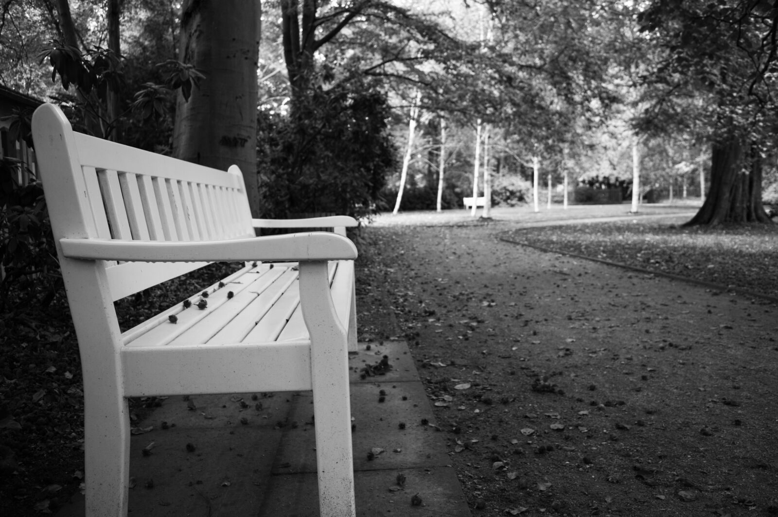 Nikon D3200 sample photo. Park bench, black and photography