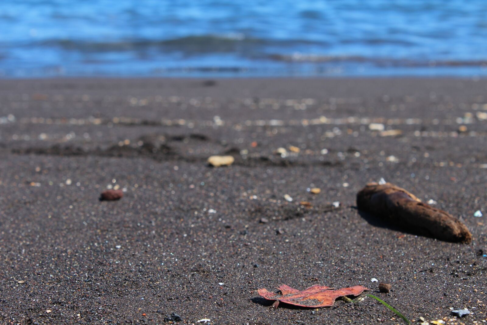 Canon EOS 1200D (EOS Rebel T5 / EOS Kiss X70 / EOS Hi) sample photo. Tenerife, sea, holiday photography