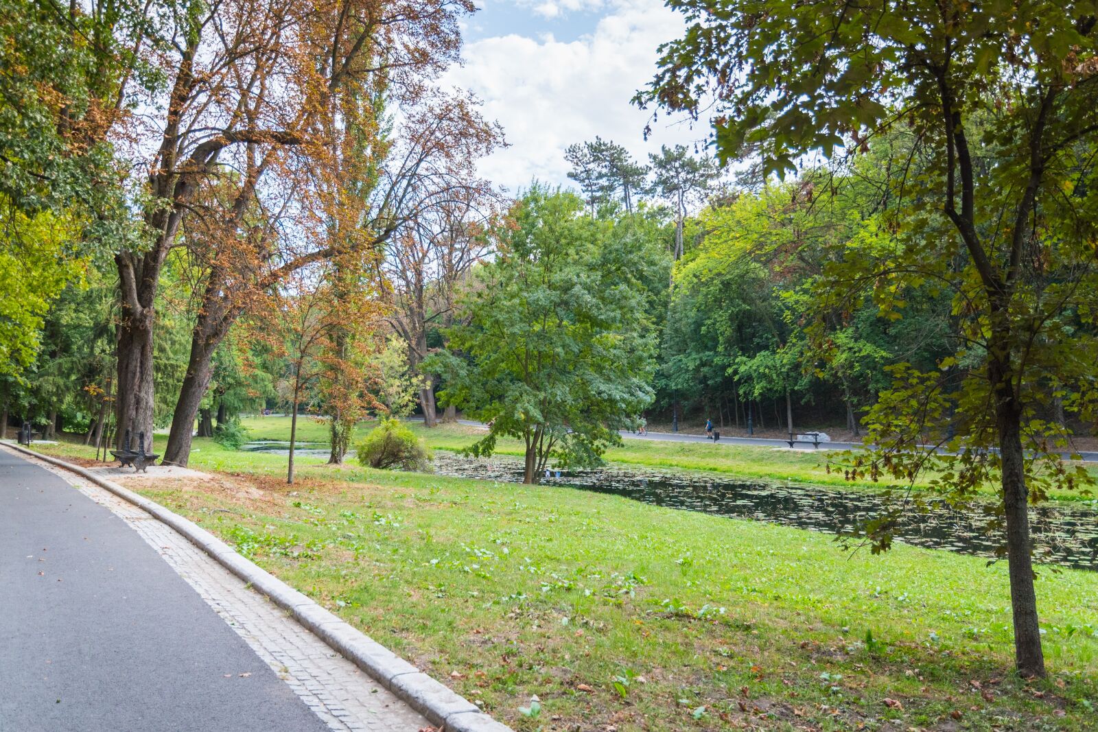 Nikon D750 sample photo. Park, lamppost, time photography