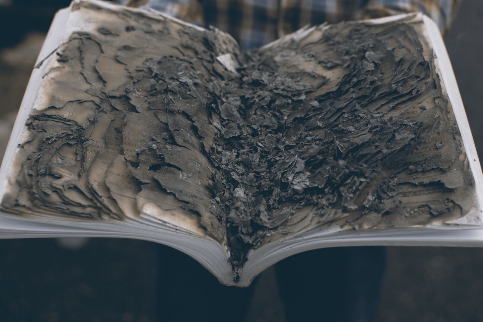 Nikon D3300 sample photo. Book, burnt, burnt pages photography