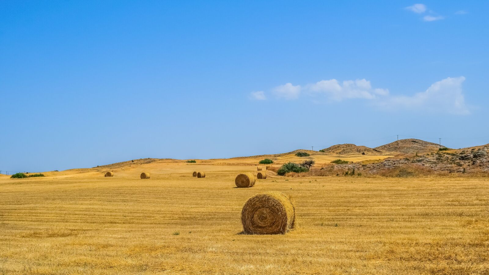 Nikon D3300 sample photo. Landscape, dry, sky photography
