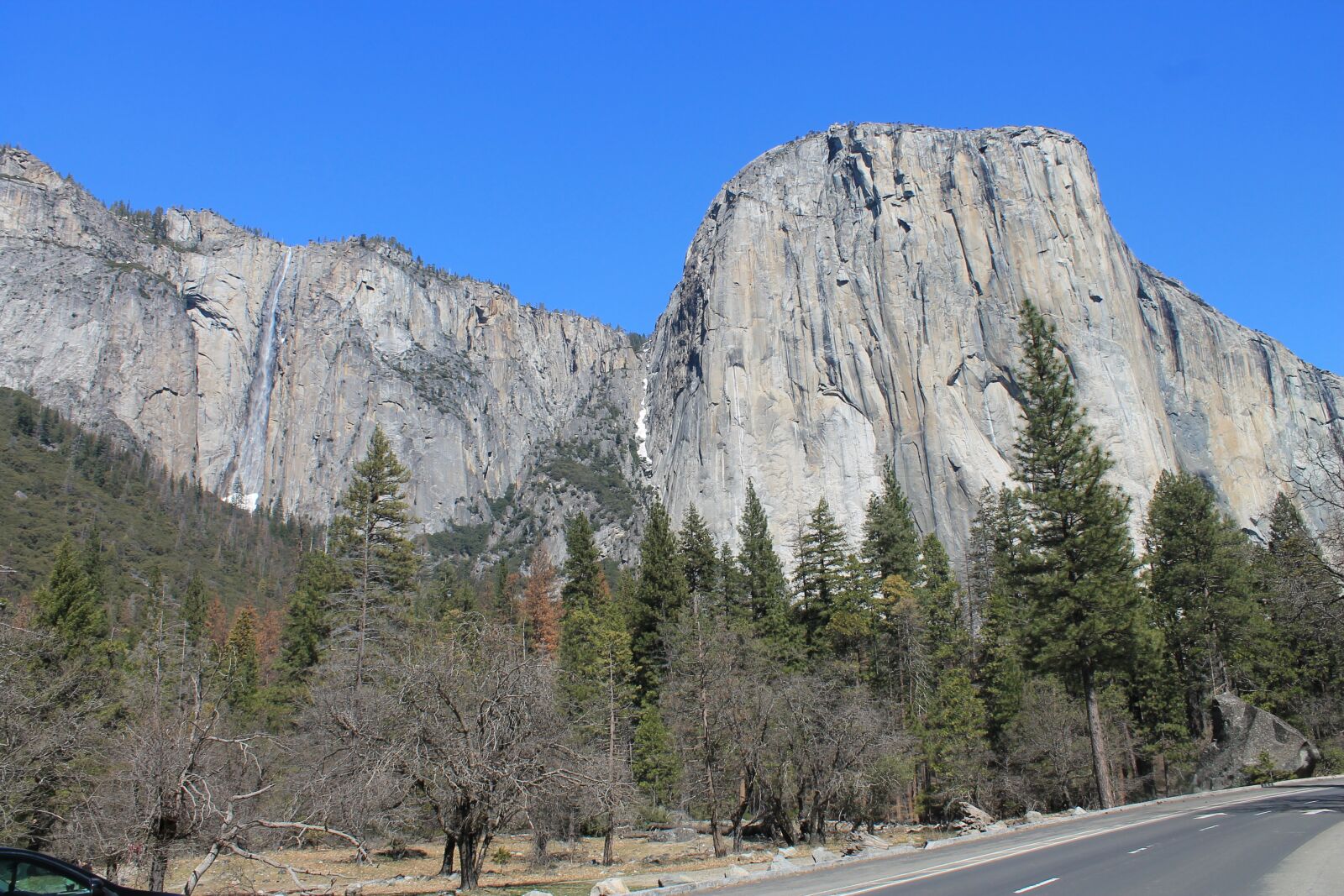 Canon EOS 1100D (EOS Rebel T3 / EOS Kiss X50) sample photo. El capitan, yosemite, tree photography