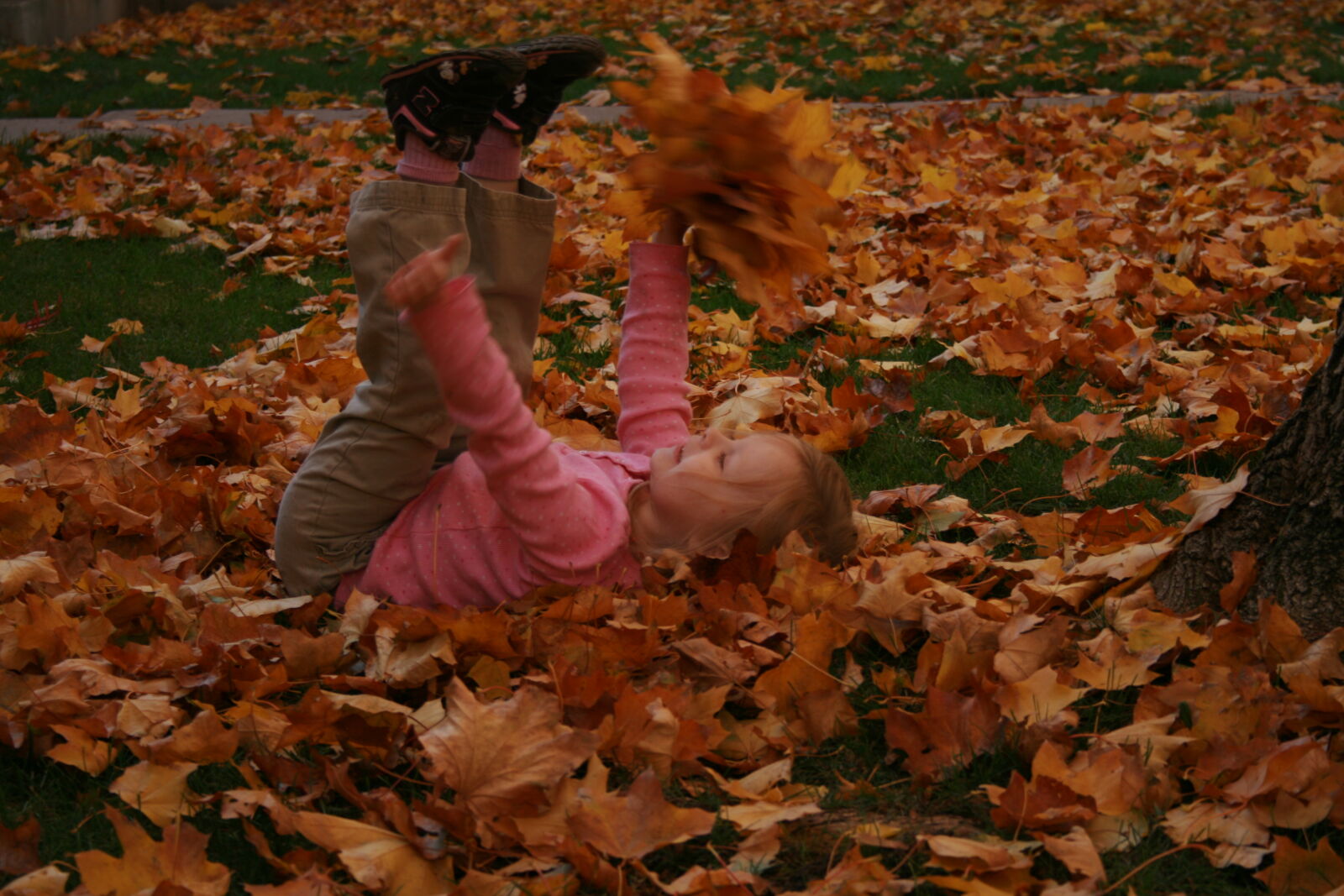 Canon EOS 400D (EOS Digital Rebel XTi / EOS Kiss Digital X) sample photo. Autumn, autumn, colours, autumn photography