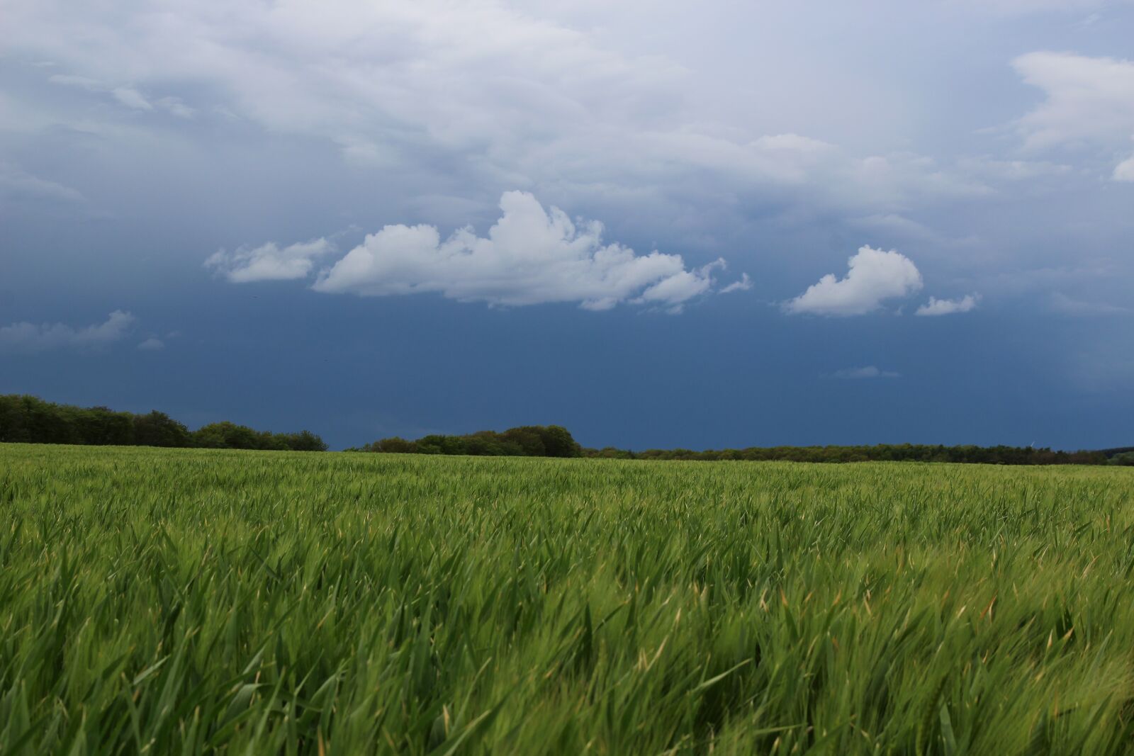 Canon EOS 1200D (EOS Rebel T5 / EOS Kiss X70 / EOS Hi) sample photo. Storm, landscape photography