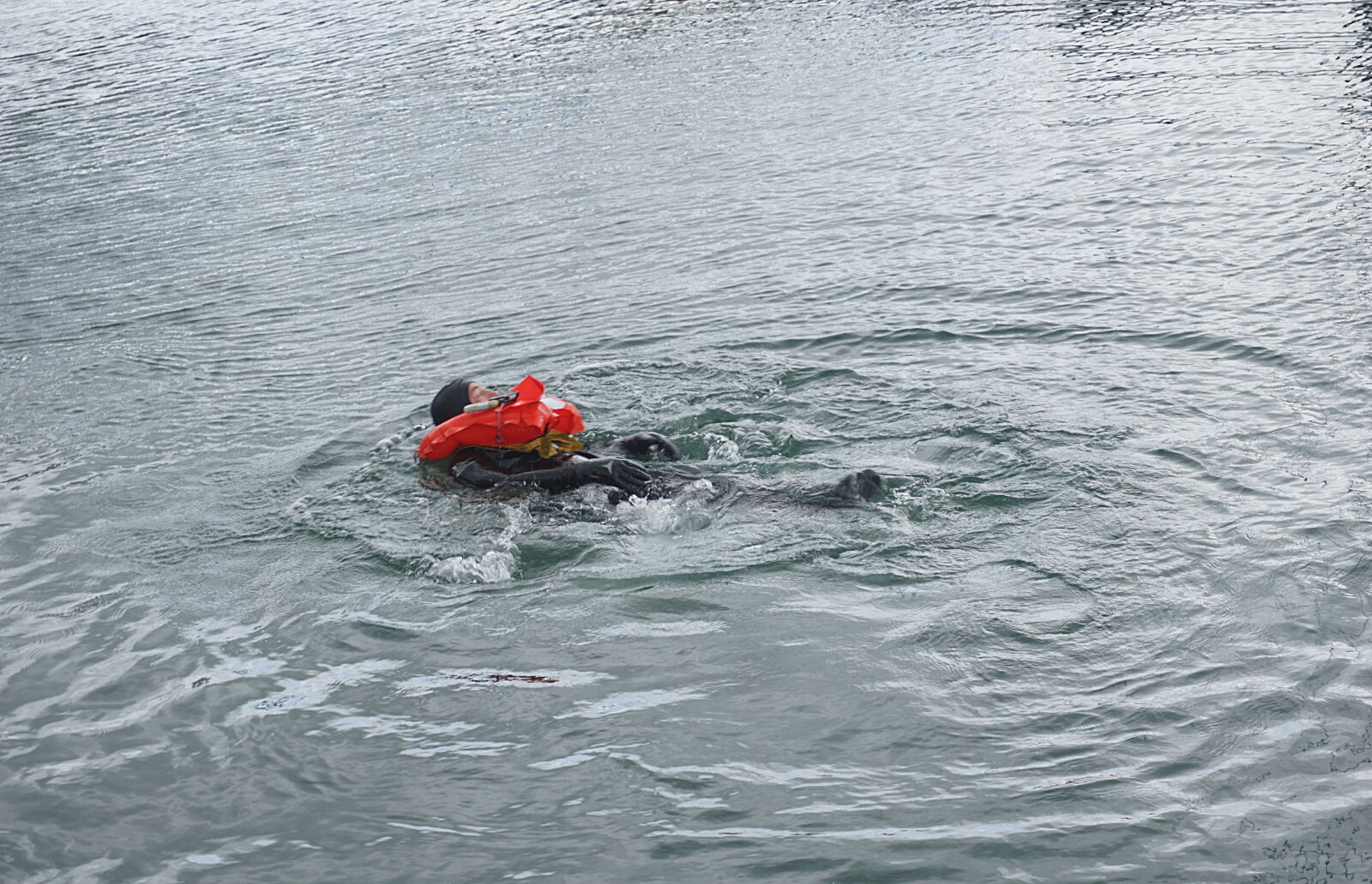 Sony a6000 sample photo. Des, exercices, mer, pompiers photography