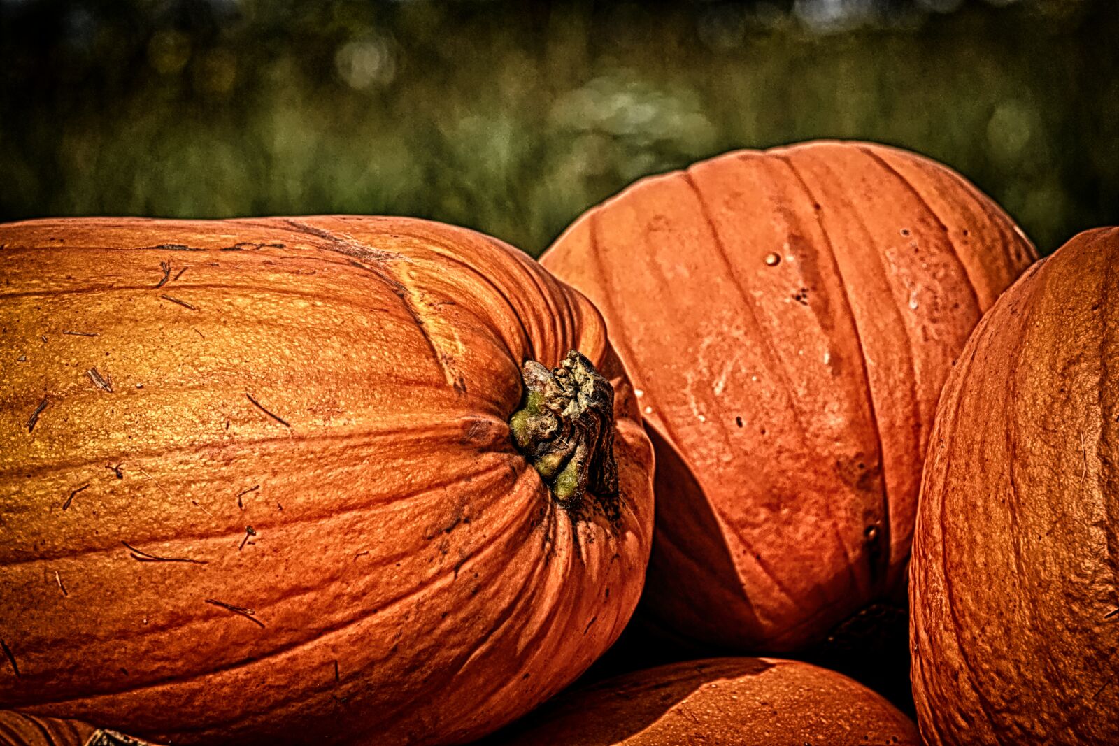 Nikon D7200 sample photo. Pumpkins, autumn, decoration photography