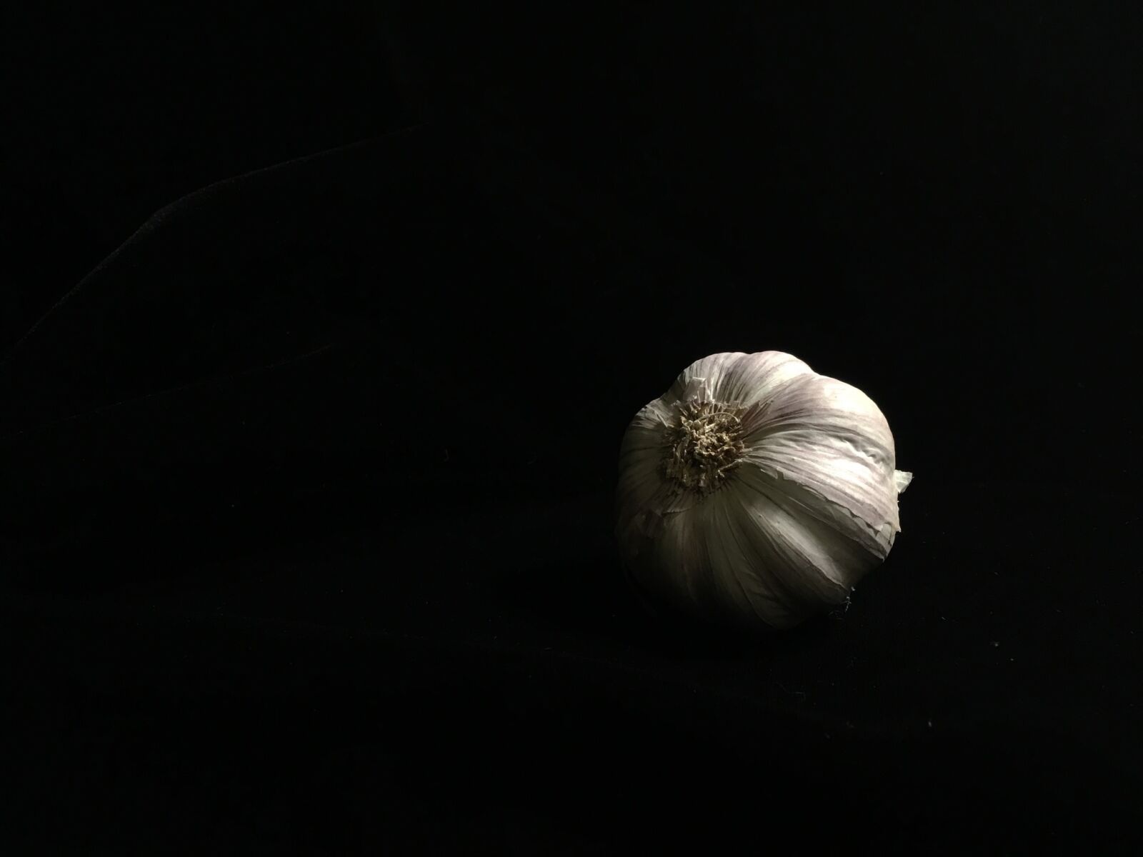 iPad Pro back camera 4.15mm f/2.2 sample photo. Black, low key, garlic photography