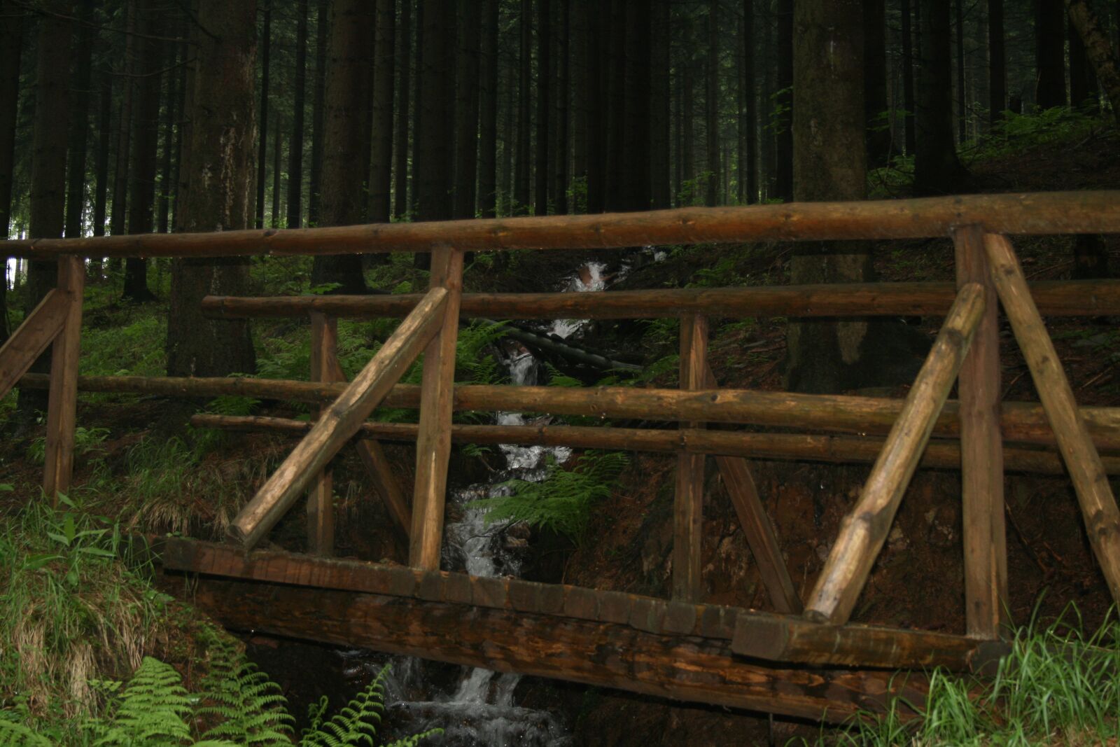 Canon EOS 400D (EOS Digital Rebel XTi / EOS Kiss Digital X) sample photo. Forest, wooden bridge, bach photography