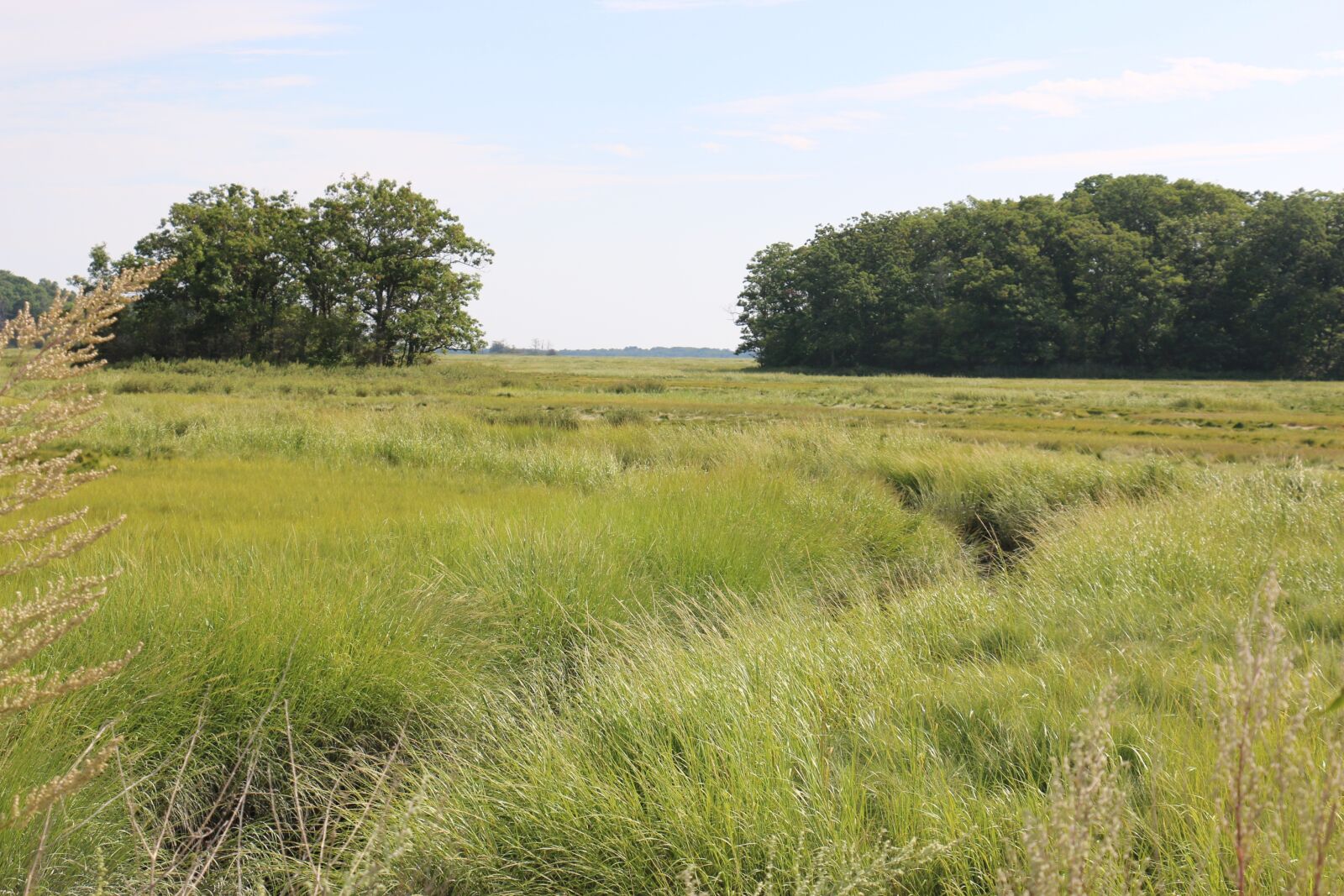 Canon EOS 70D sample photo. Marshland, marsh, newengland photography