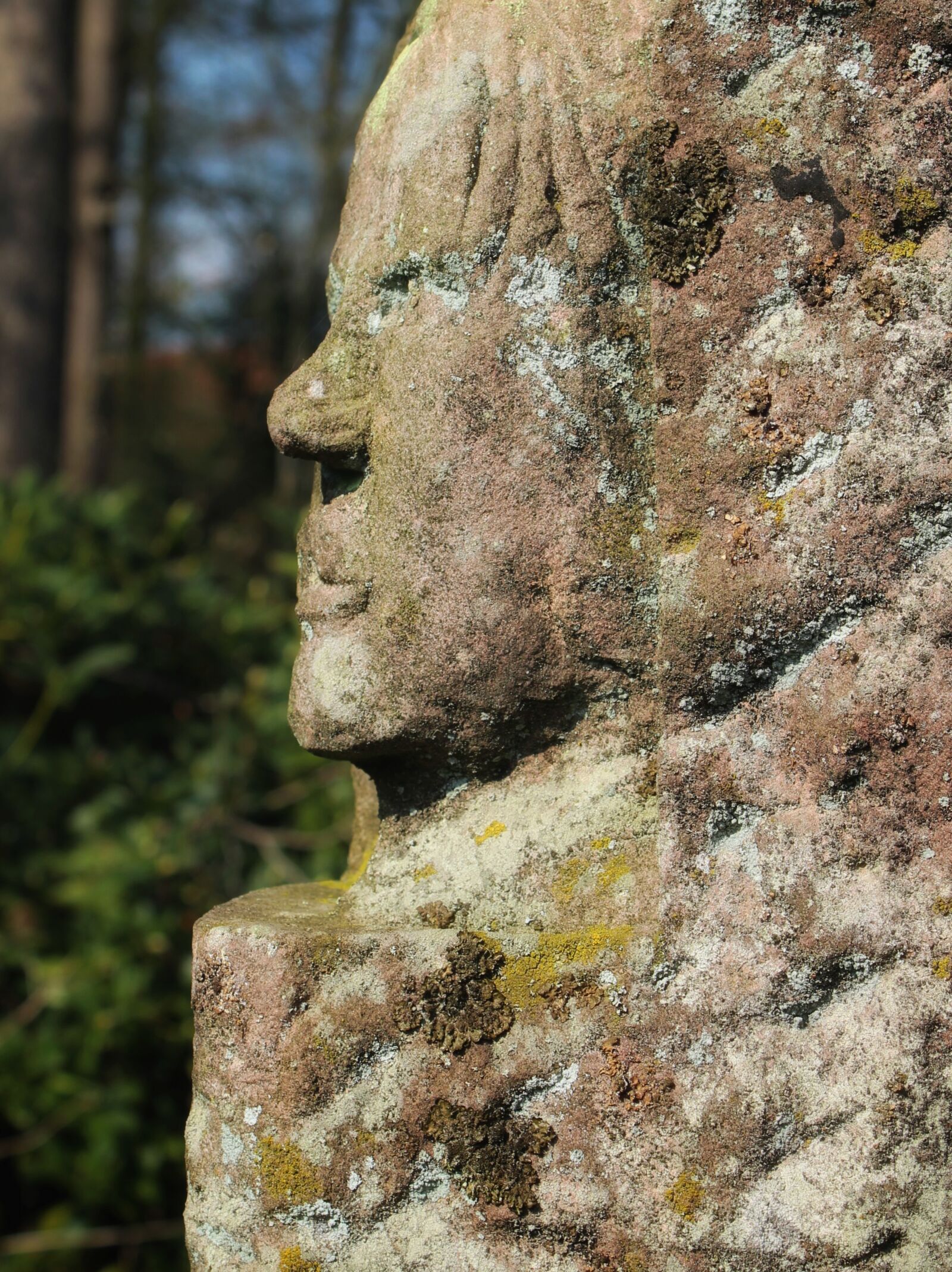 Canon EOS 1300D (EOS Rebel T6 / EOS Kiss X80) sample photo. Stone, rock, nature photography