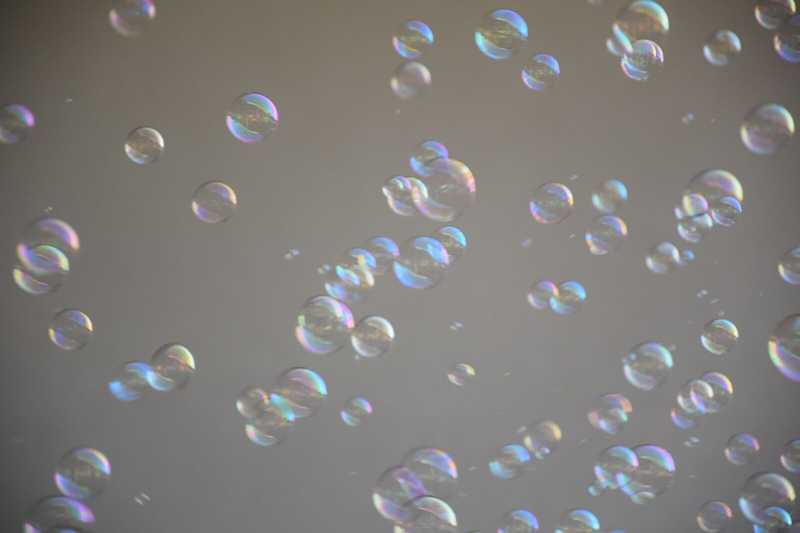 Nikon D3300 sample photo. Soap bubble, floating, blow photography