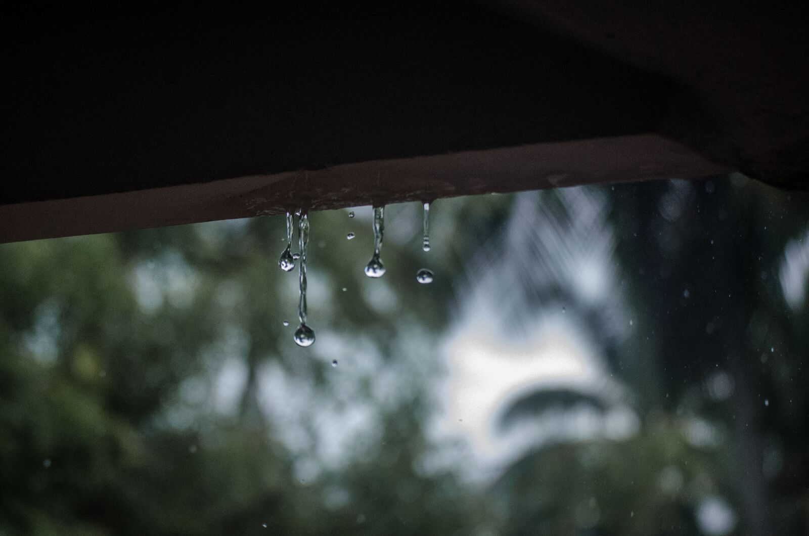 Nikon D5100 sample photo. Rain, drops, dripping photography