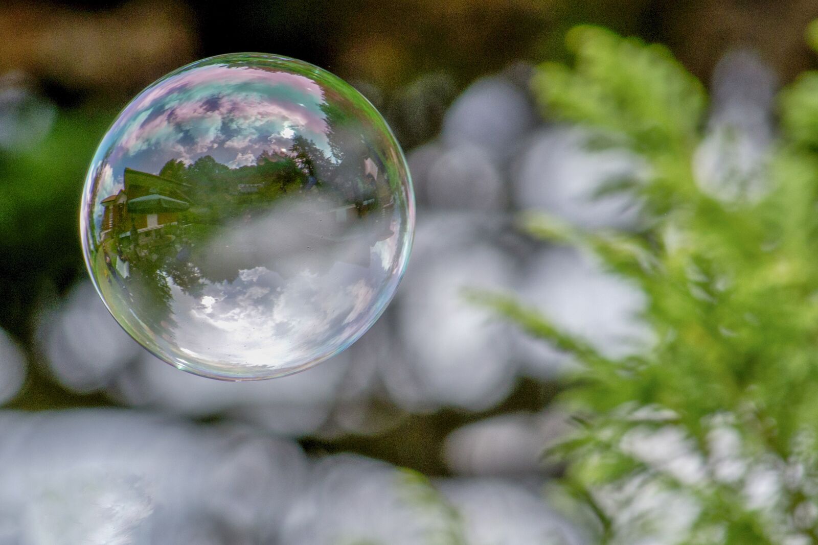Nikon D3100 sample photo. Bubble, soap, fun photography