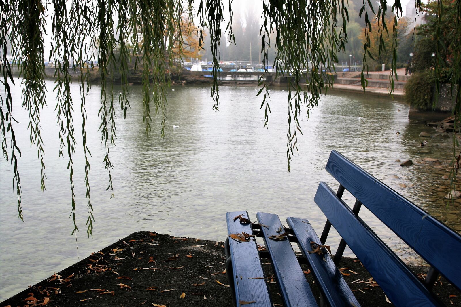 Canon EOS 400D (EOS Digital Rebel XTi / EOS Kiss Digital X) sample photo. Willow, bench, autumn photography