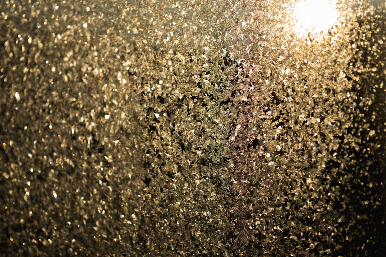 Sony a6000 + E 60mm F2.8 sample photo. Frost, glass, sun, yellow photography