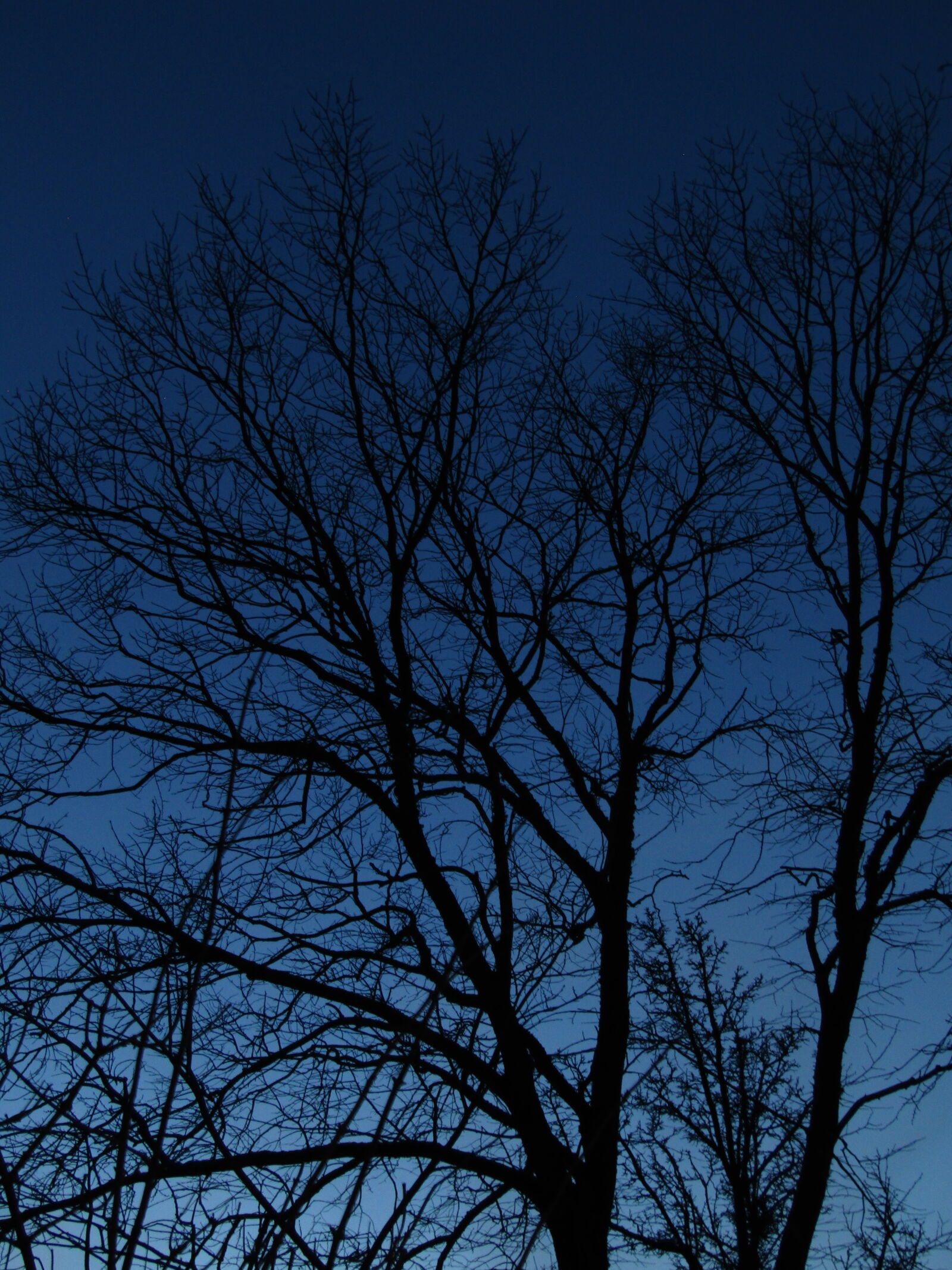 Canon PowerShot SX420 IS sample photo