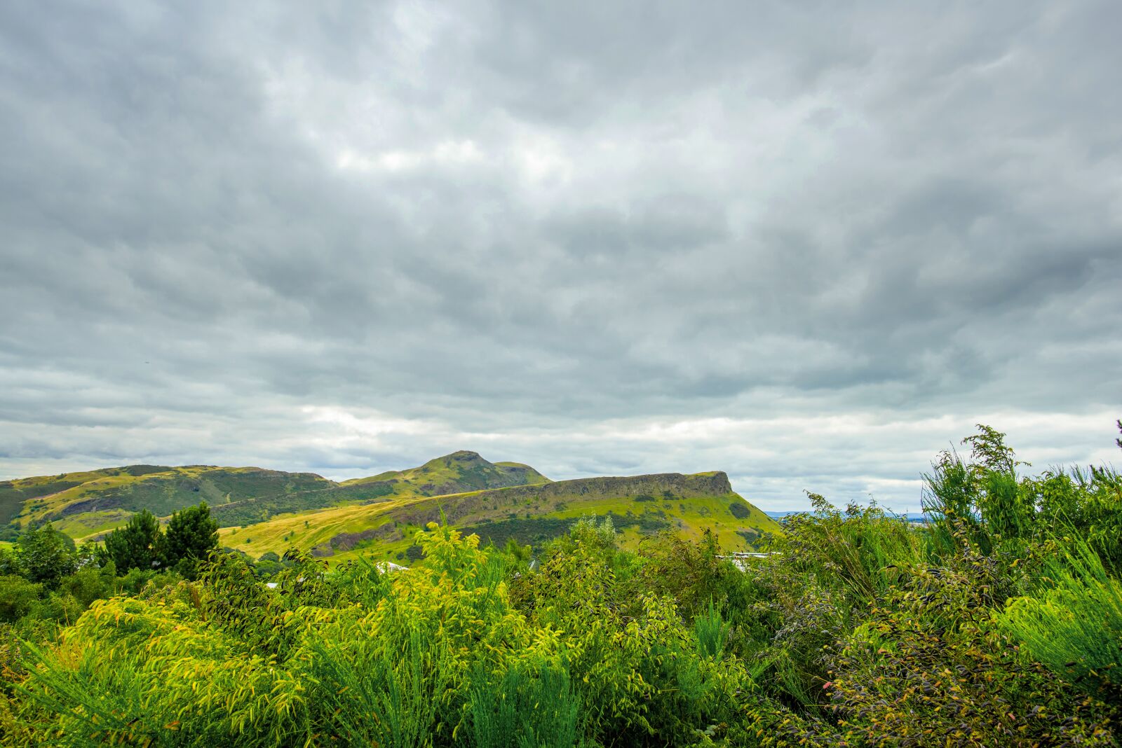 Nikon D750 sample photo. Holyrood park edinburgh, park photography