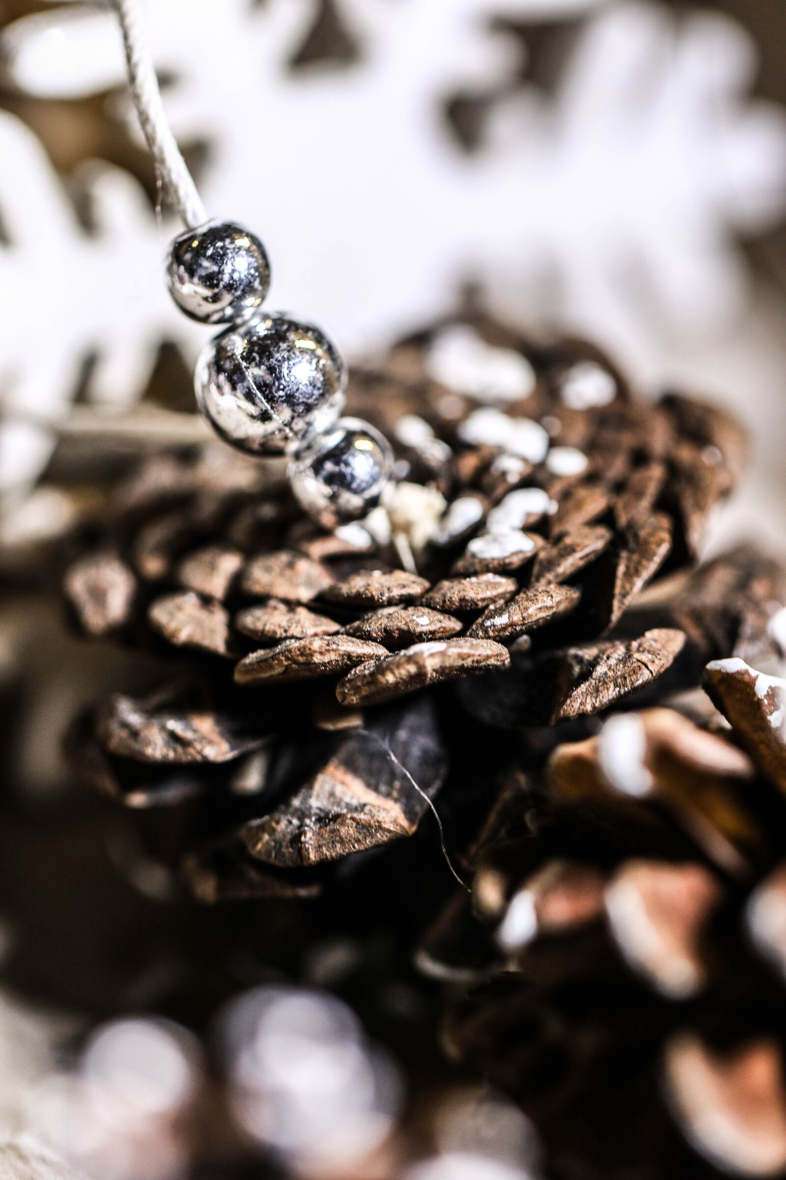 Canon EOS 7D Mark II sample photo. Pinecone, cone, pearls photography