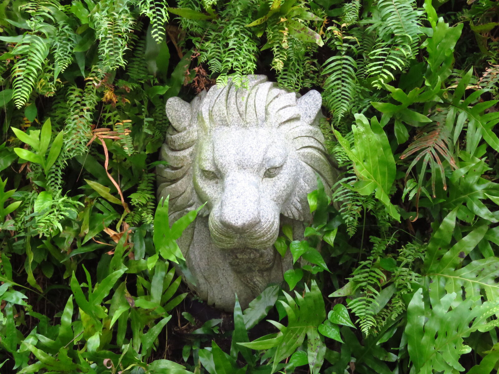 Canon PowerShot SX60 HS sample photo