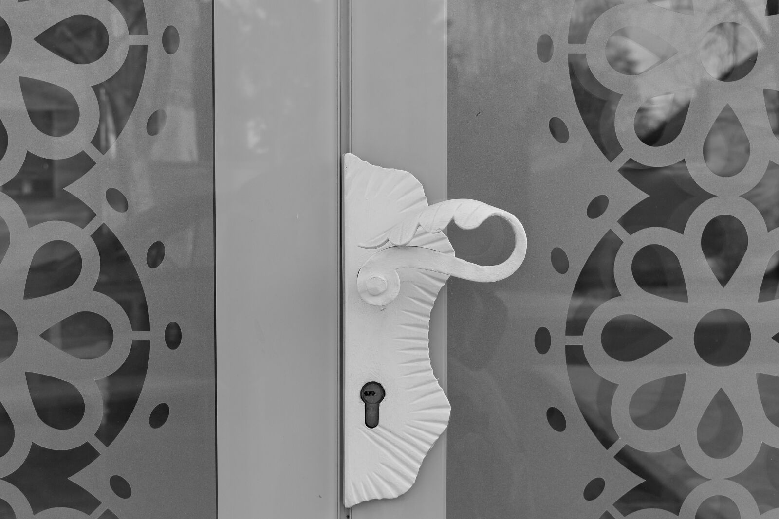 Nikon D5500 sample photo. Front door, glass, monochrome photography