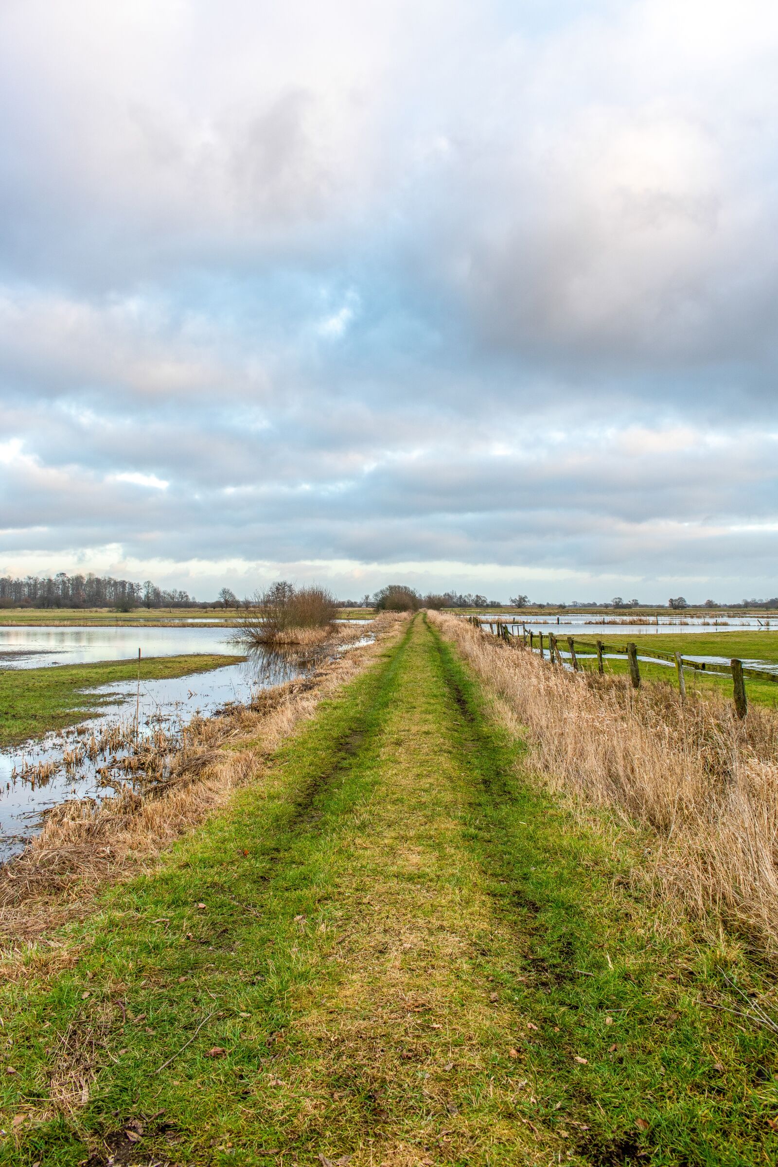 Canon EOS 750D (EOS Rebel T6i / EOS Kiss X8i) sample photo. Bremen, borgfeld, w mme photography