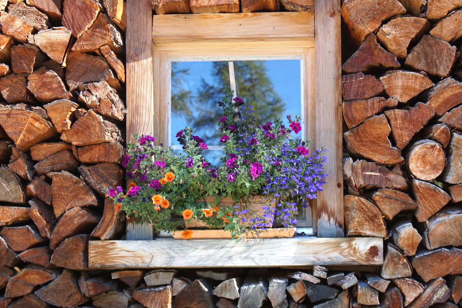 Sony ILCA-77M2 sample photo. Holzstapel, window, stock photography