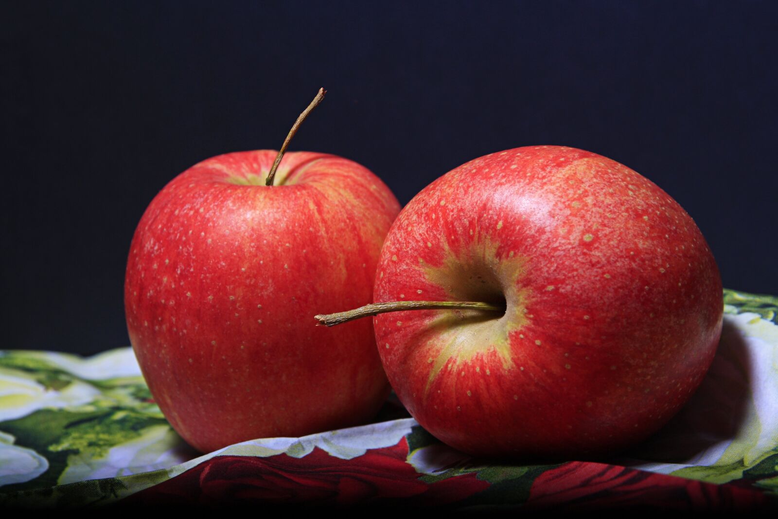 Canon EOS 1000D (EOS Digital Rebel XS / EOS Kiss F) sample photo. Apple, red, fruit photography