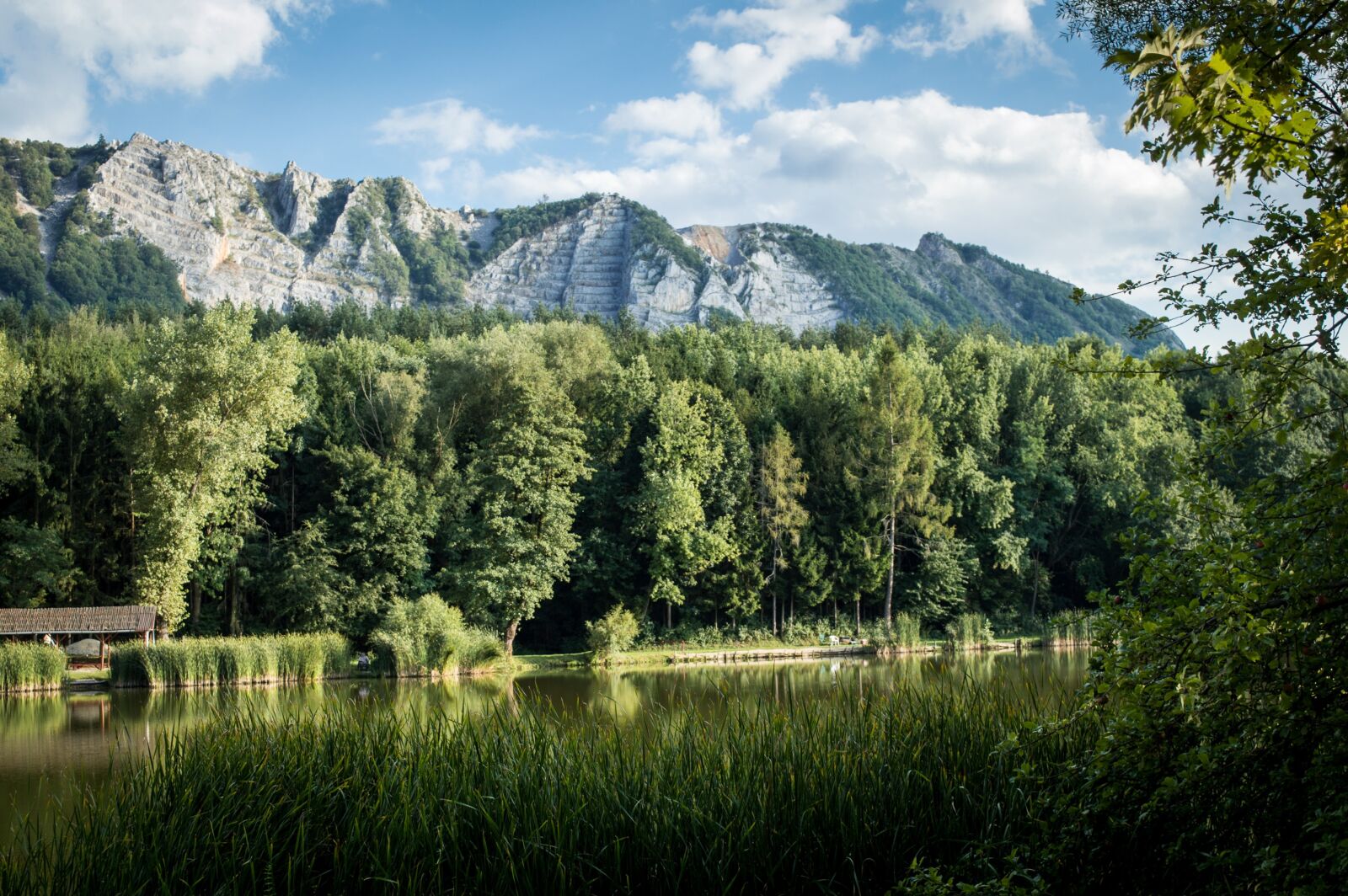 Nikon D3200 sample photo. Green, lake, wood photography