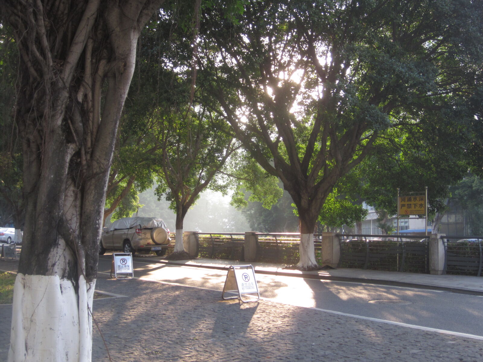 Canon PowerShot SD1300 IS (IXUS 105 / IXY 200F) sample photo. Gorgeous light photography