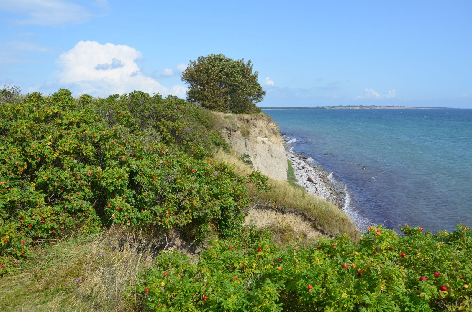 Nikon D5100 sample photo. Denmark, cliff, island photography