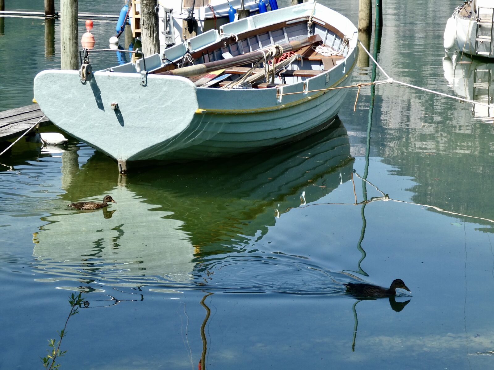 Panasonic Lumix DC-ZS70 (Lumix DC-TZ90) sample photo. Reflection, tranquil, bird photography