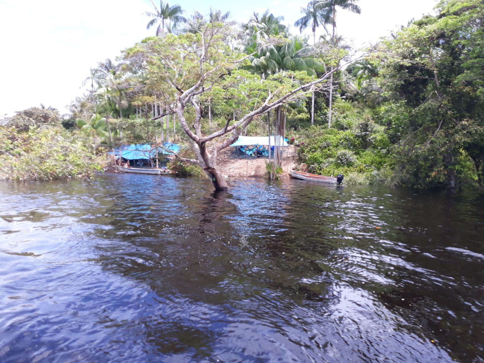 Samsung Galaxy J5 Pro sample photo. Sgc, amazonas, brazil photography