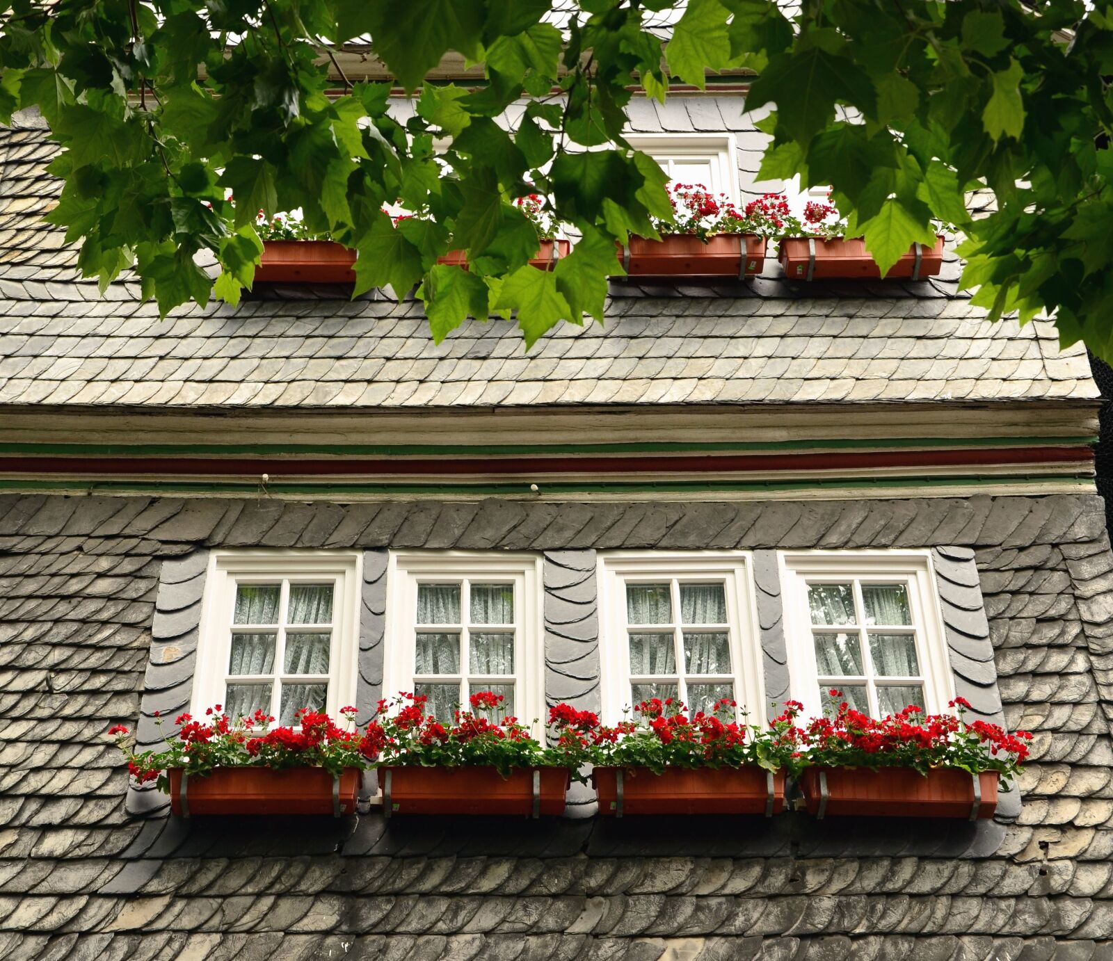 Nikon D5100 sample photo. Leaf, tree, building, architecture photography